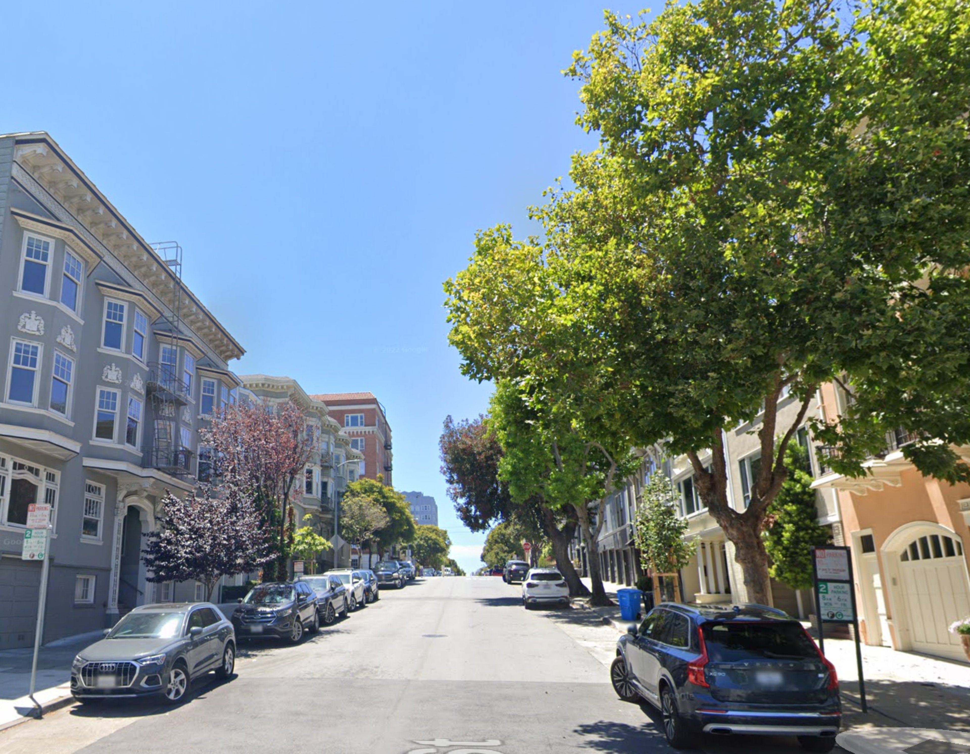 a tree line street