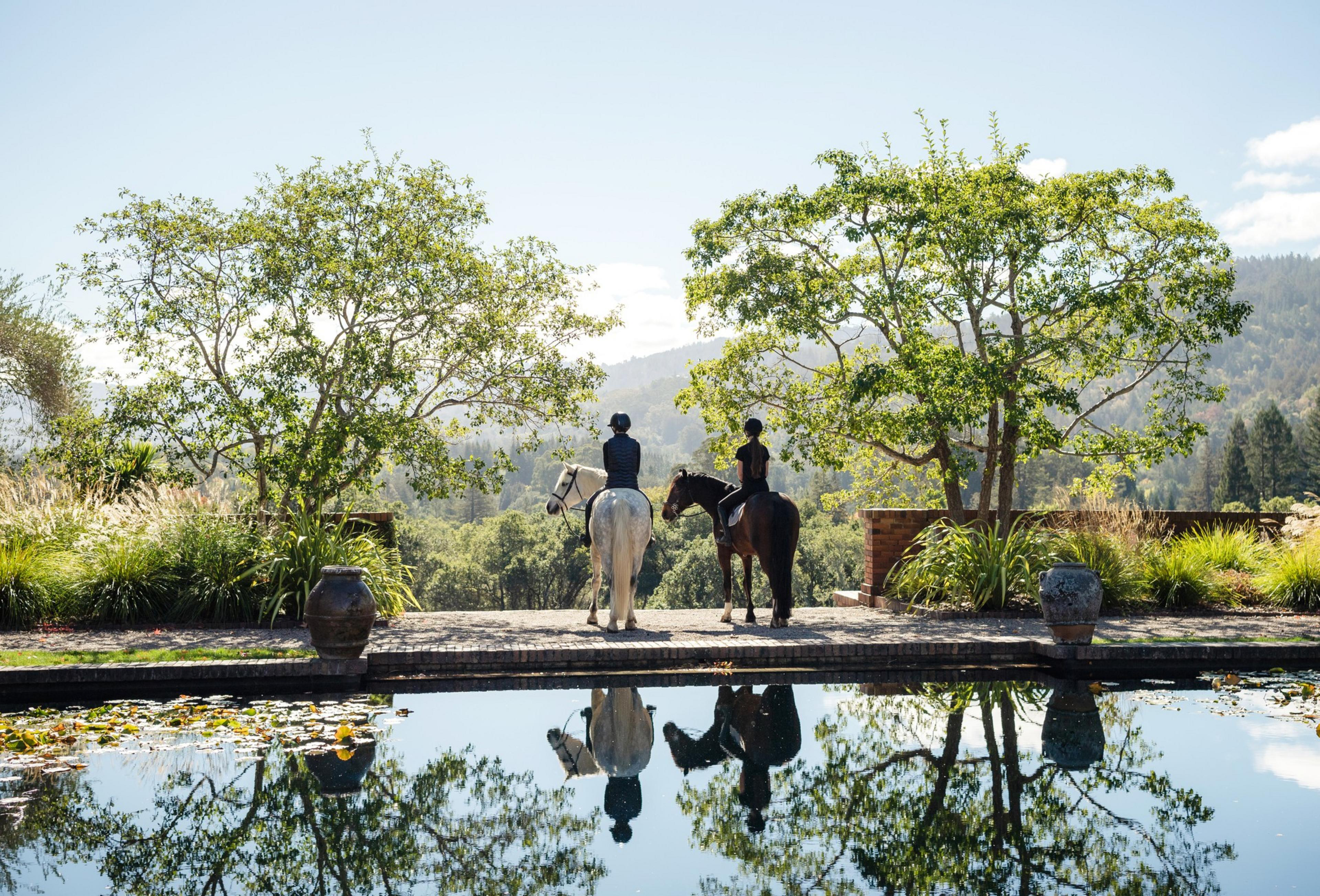 Two people on horses looking into the distance in by the pool.