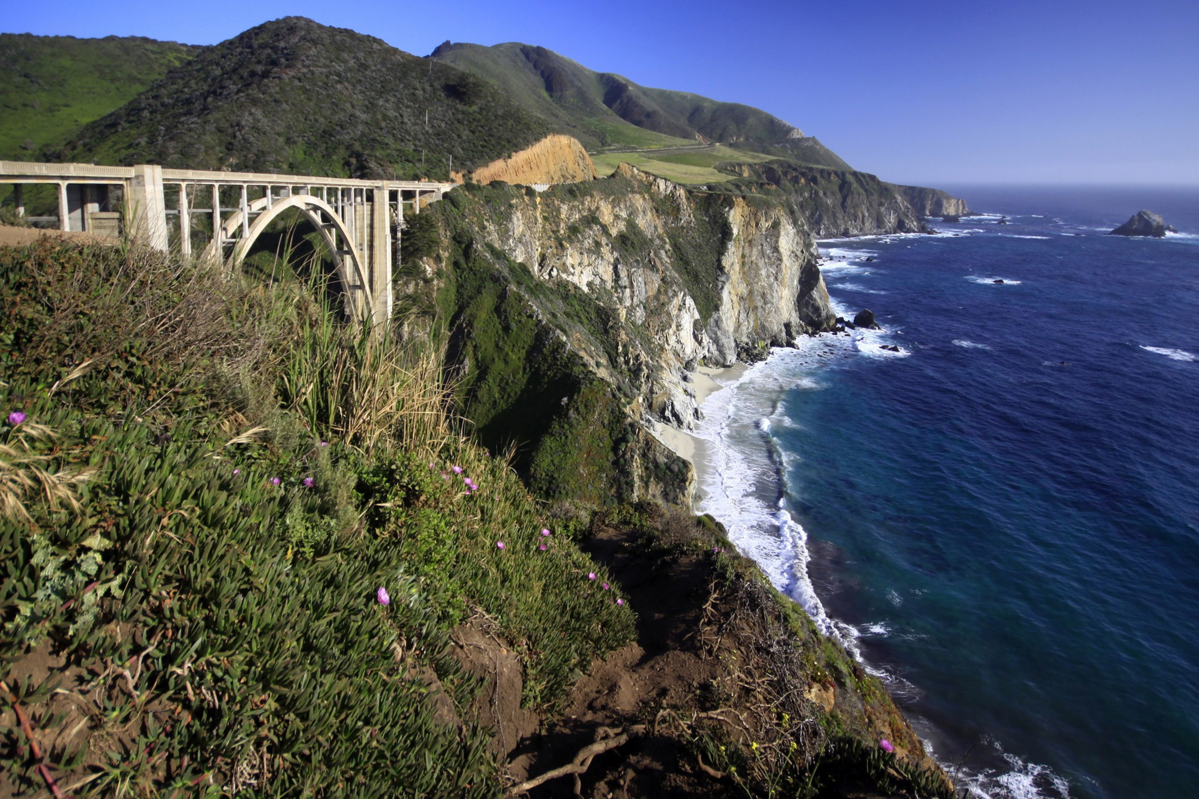A coastal bridge stretches over rocky cliffs with green foliage and pink flowers, overlooking a blue ocean under a clear, bright sky.
