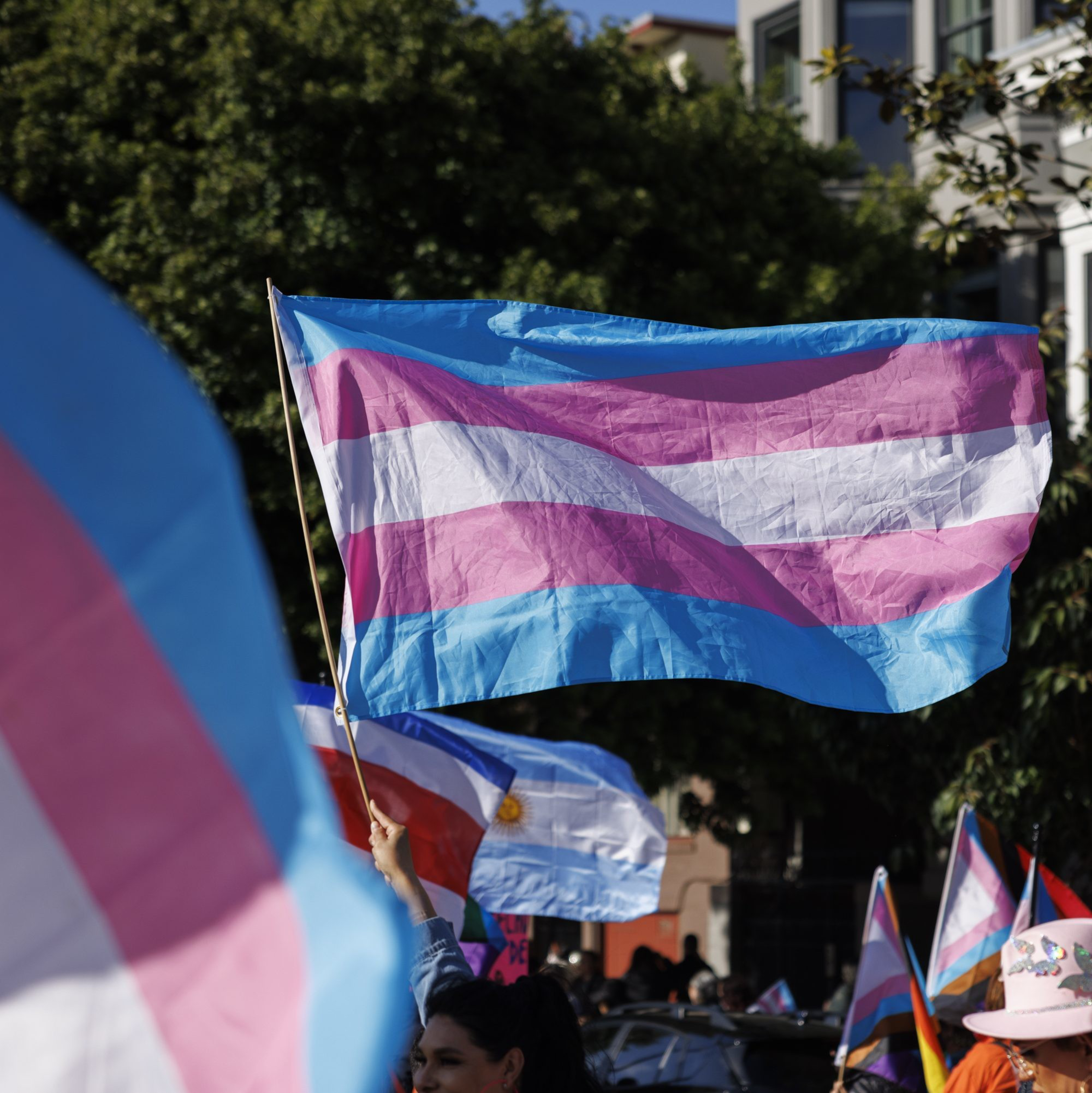 People are holding transgender pride flags at an outdoor gathering, with trees and buildings in the background.