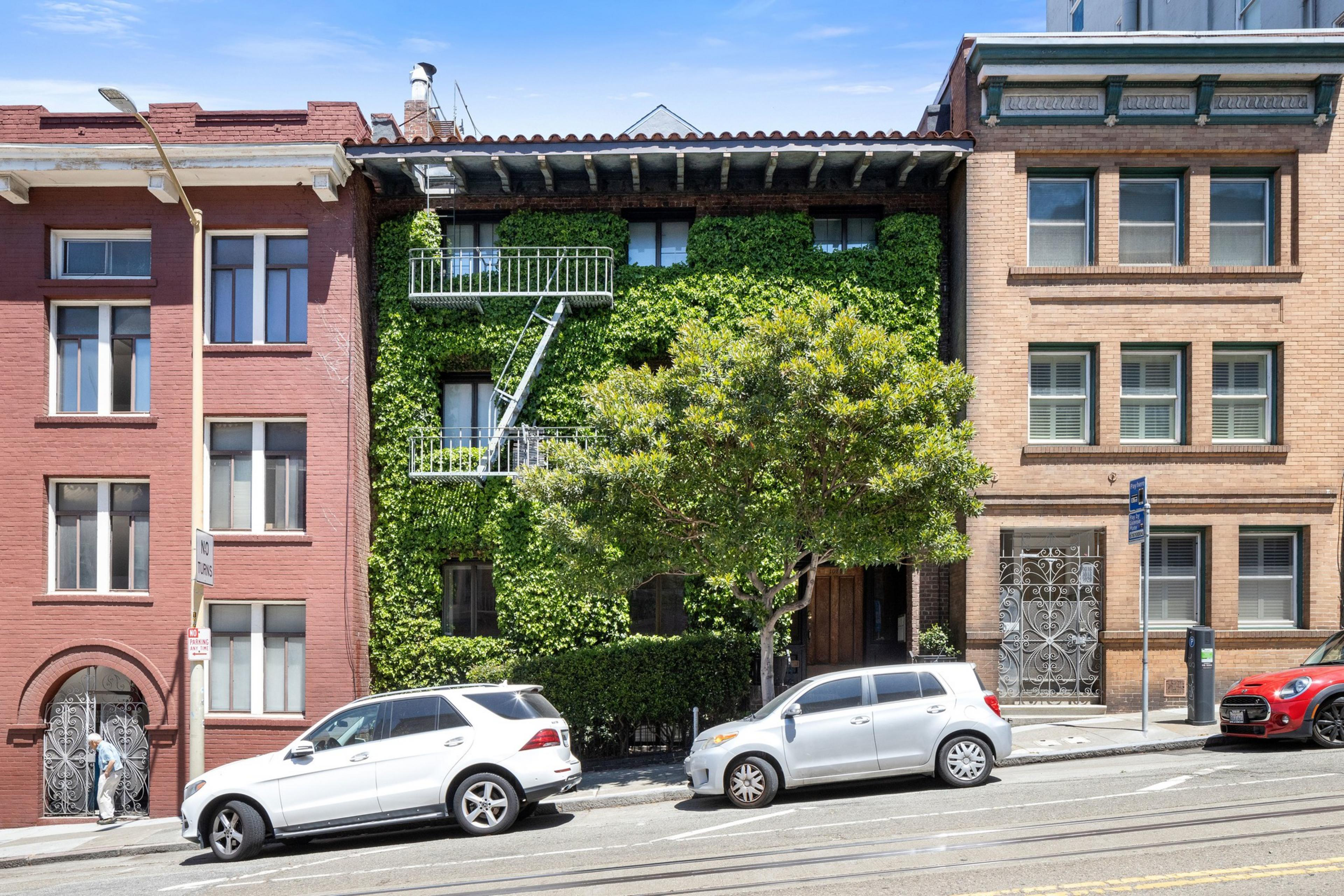 A three-story building is covered in lush green ivy, flanked by two neighboring brick buildings. Cars are parked in front, and a tree partially obscures the ivy.