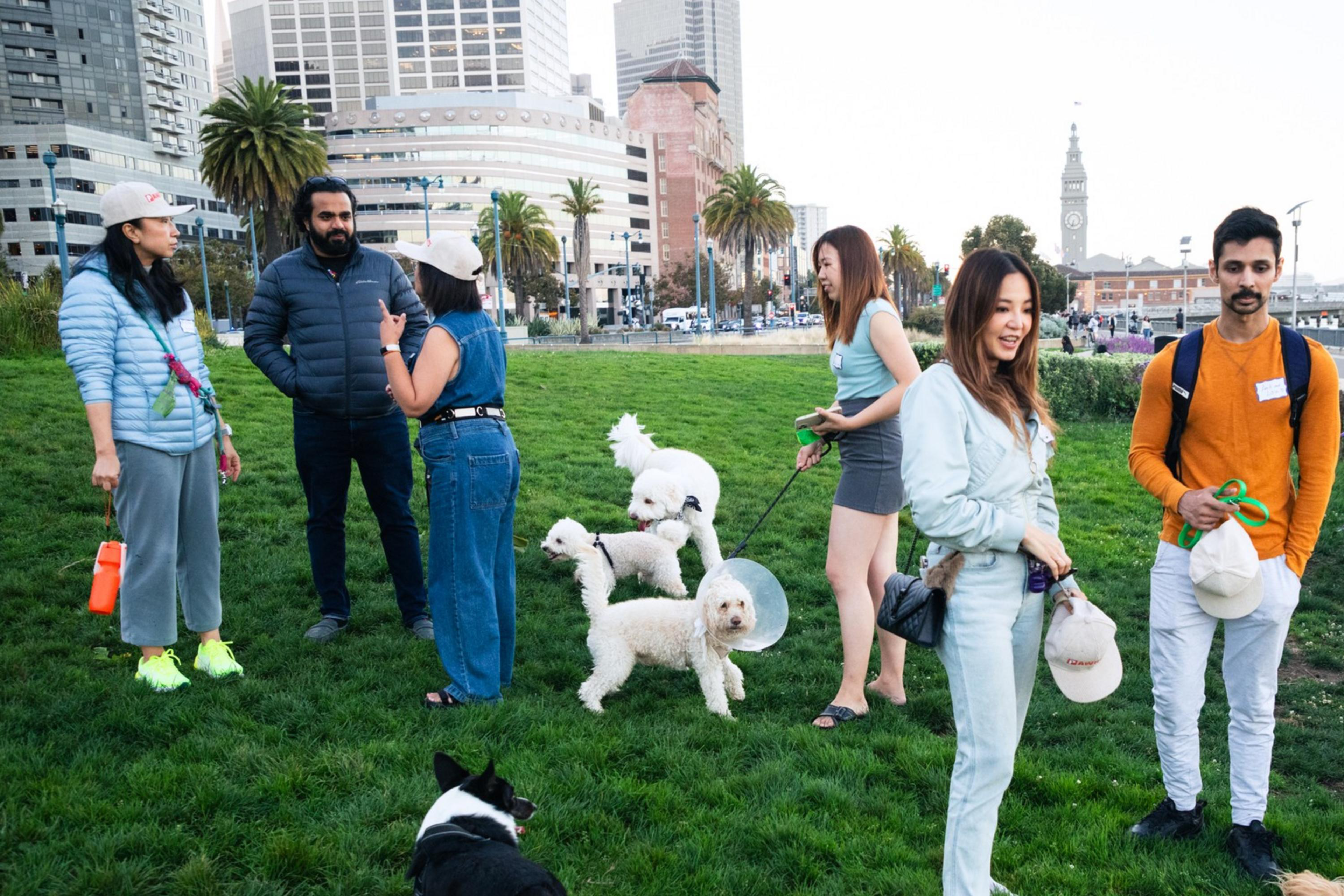 A group of people stands on a grassy area with several dogs. Some dogs wear cones, and people are casually dressed. Tall city buildings are in the background.