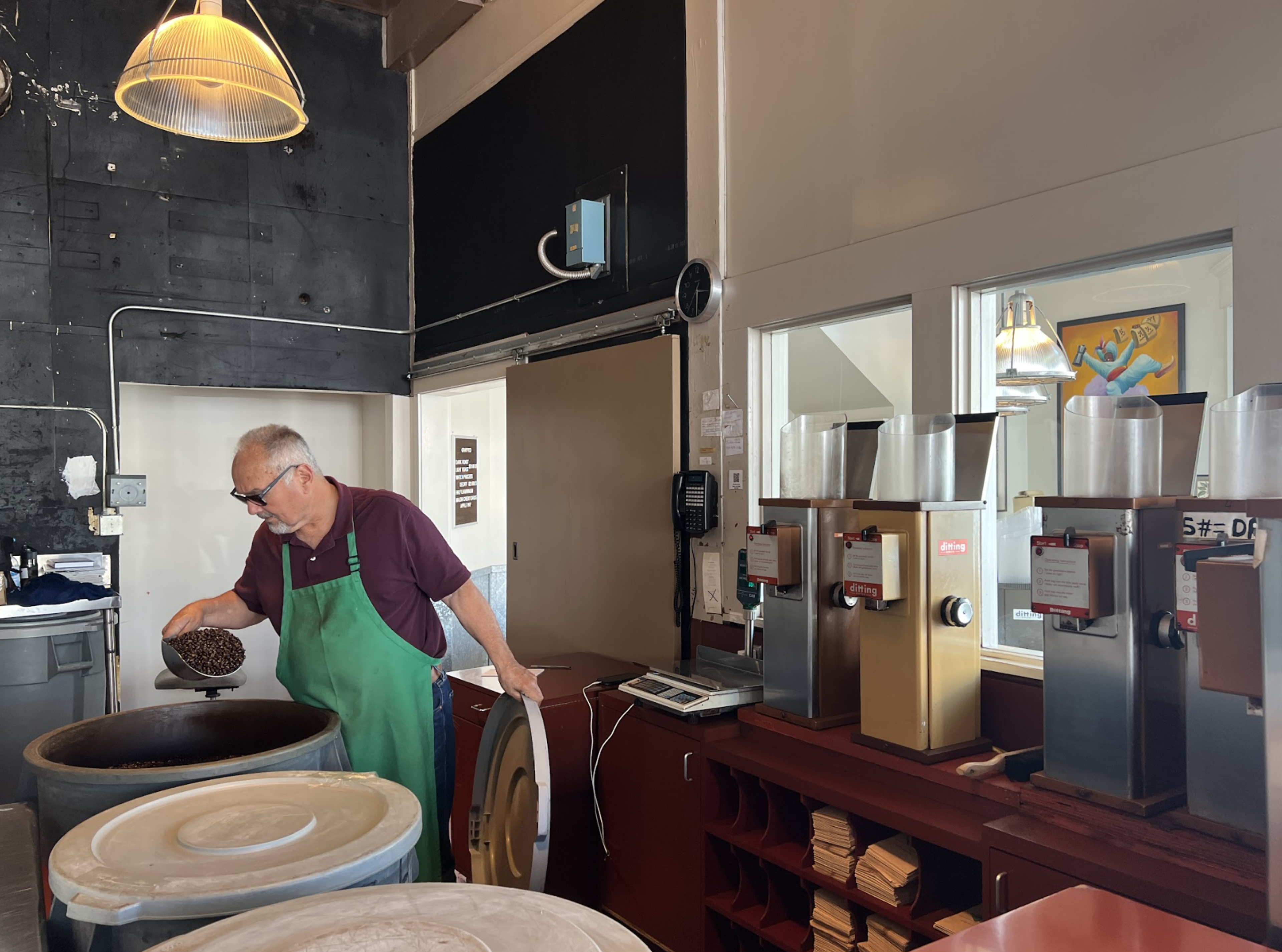 An older man wearing glasses and a green apron scoops coffee beans from a large container in a coffee roasting or processing room.