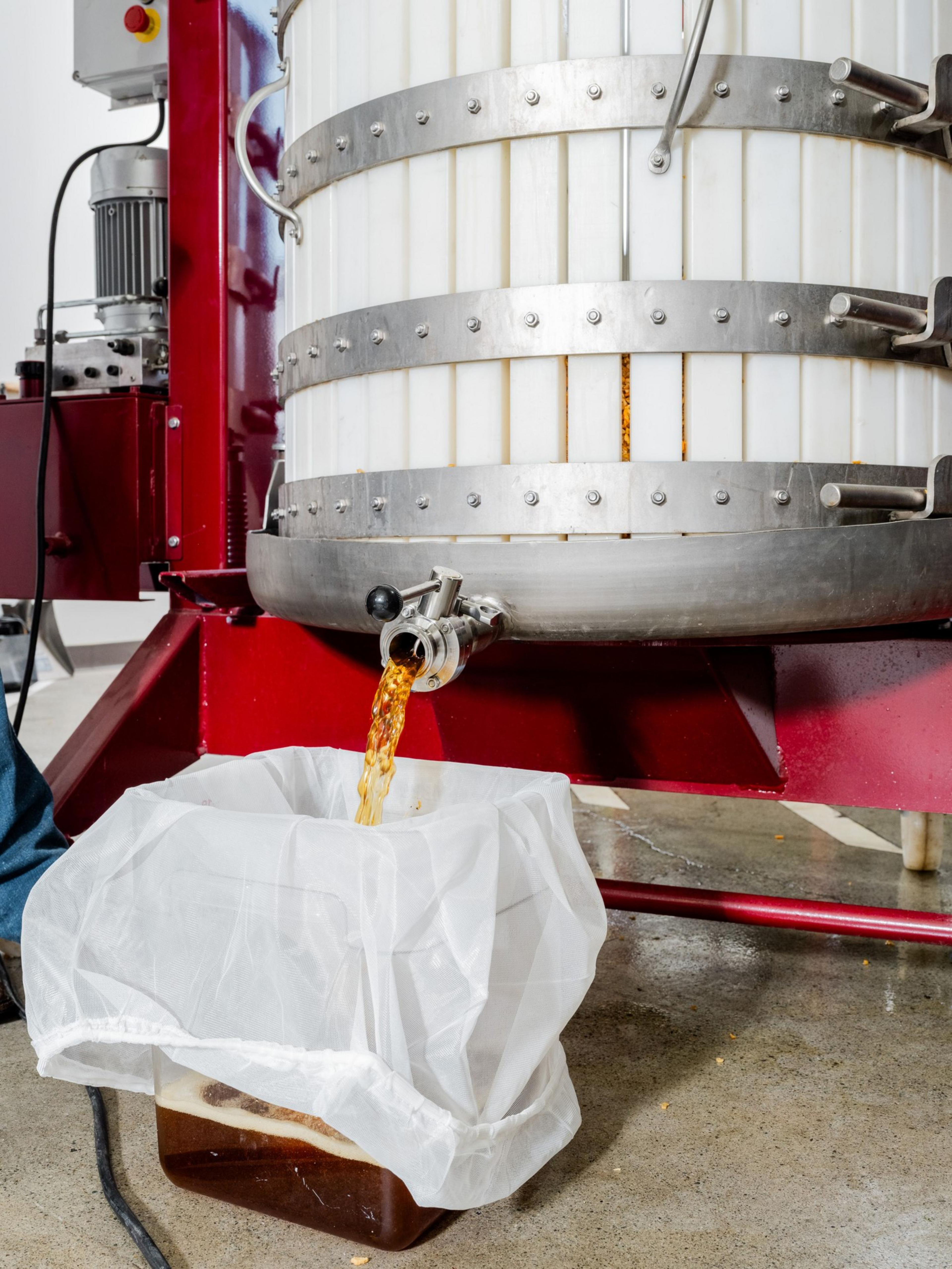 Golden liquid pours from a metal spout into a mesh-lined container below a large, round, bolted metal equipment.