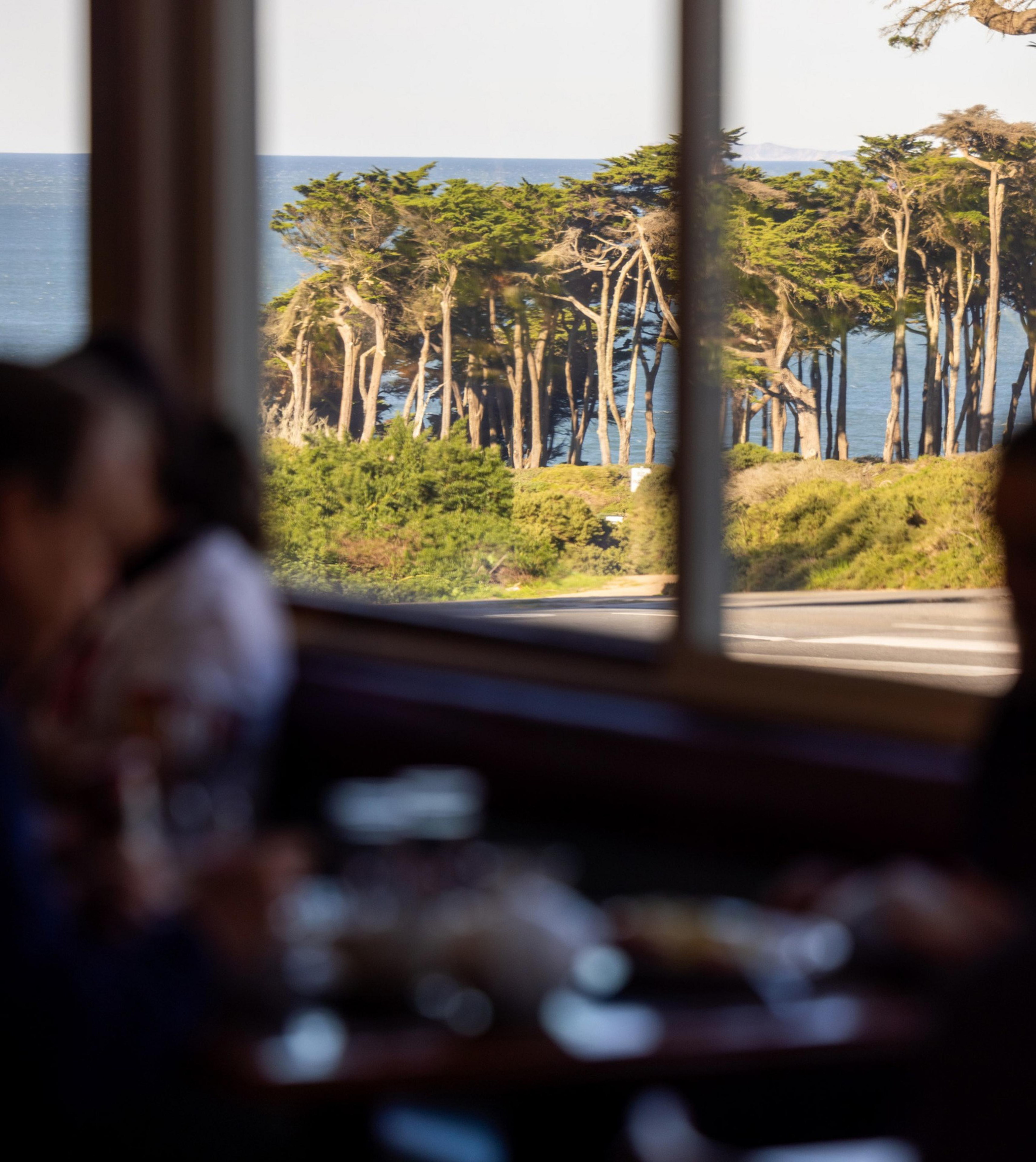A view through a window shows tall, slender trees with a backdrop of the ocean. Inside, blurred figures and a table suggest a café or restaurant setting.