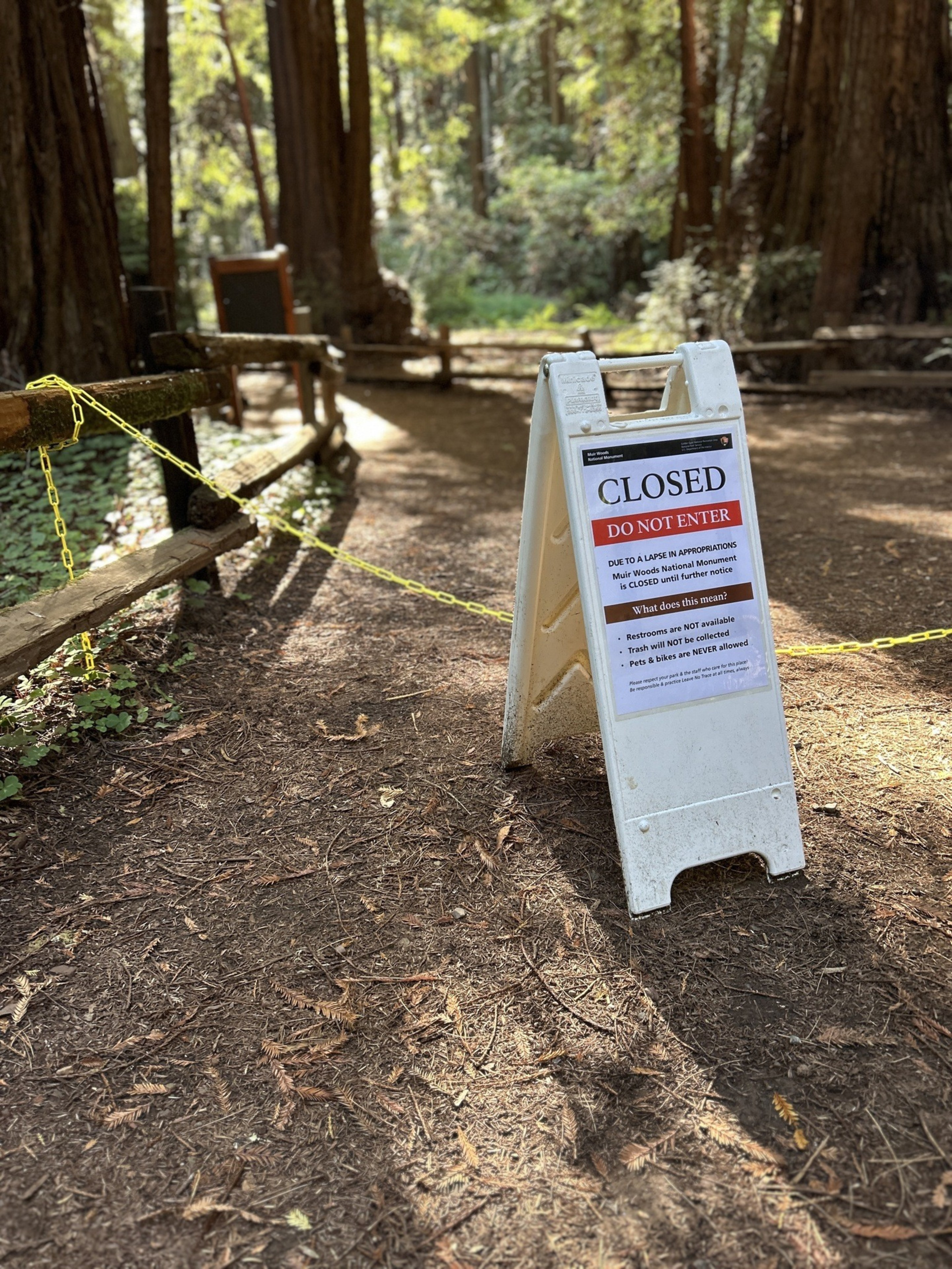 A white sign on a forest path reads “CLOSED DO NOT ENTER,” with yellow chains blocking the trail surrounded by tall trees and sunlight.