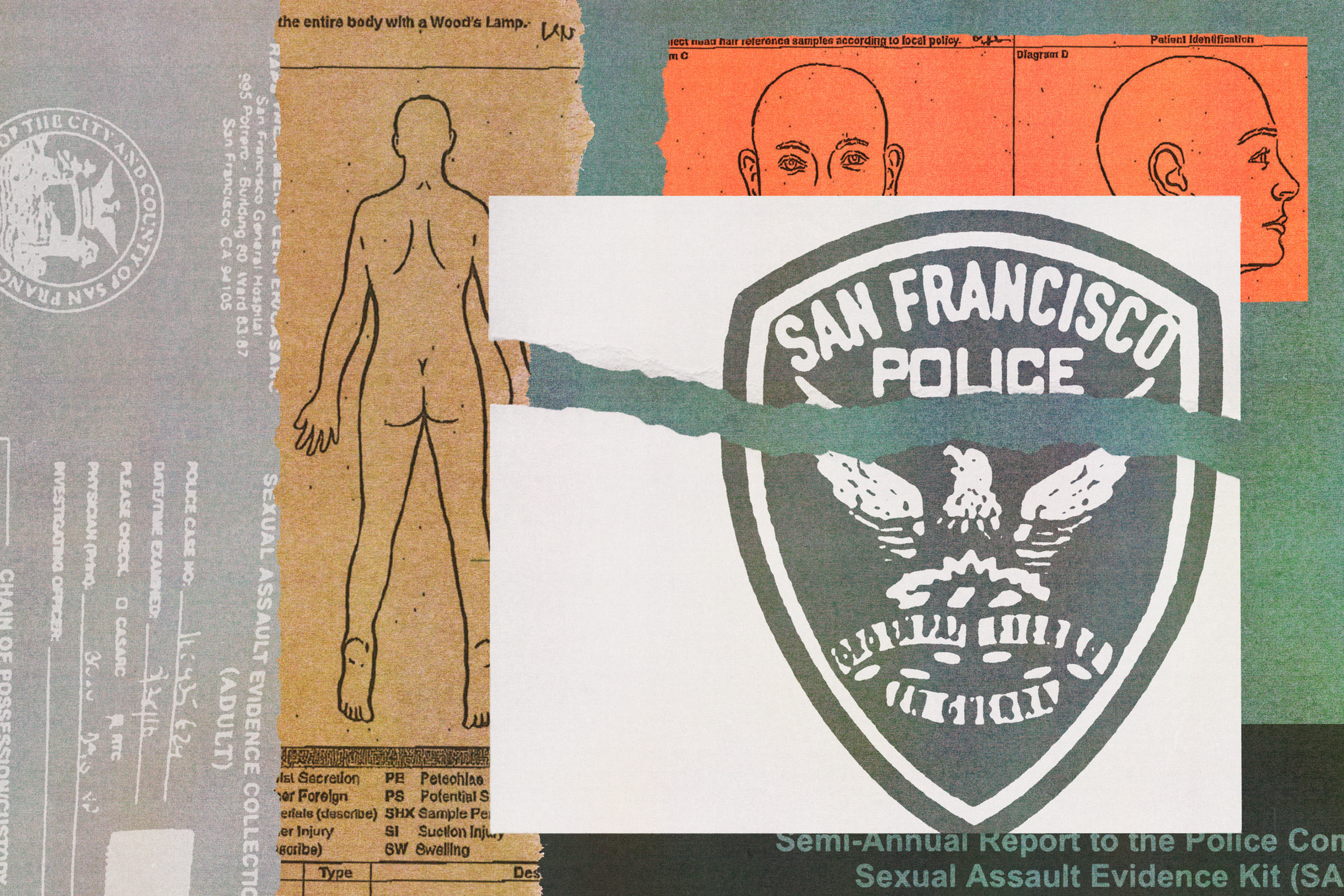 A torn San Francisco Police badge overlaps anatomical sketches and forms part of a collage including text about sexual assault evidence collection.