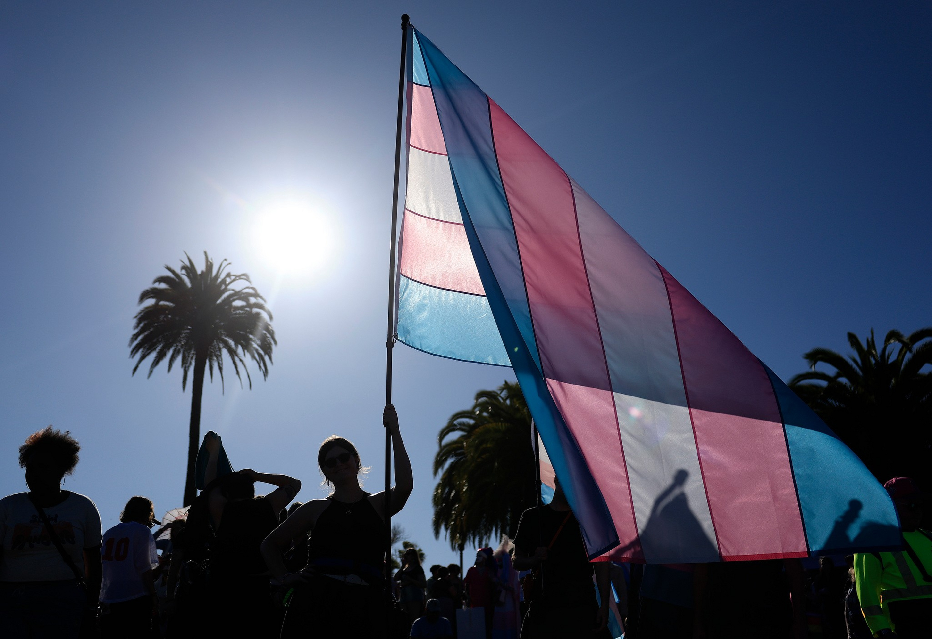 A person holds a large transgender pride flag with blue, pink, and ...