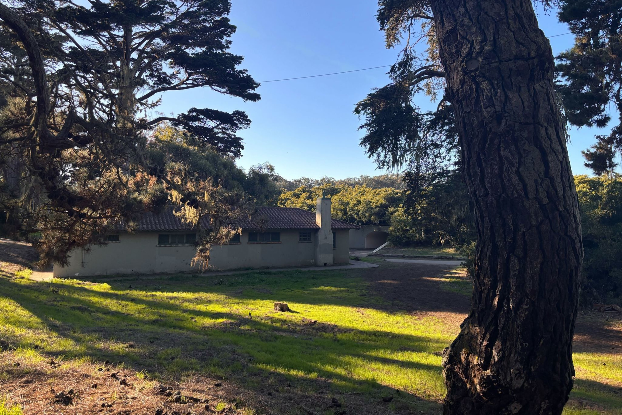 A small beige house with a red-tiled roof sits in a sunlit clearing surrounded by tall trees casting long shadows.