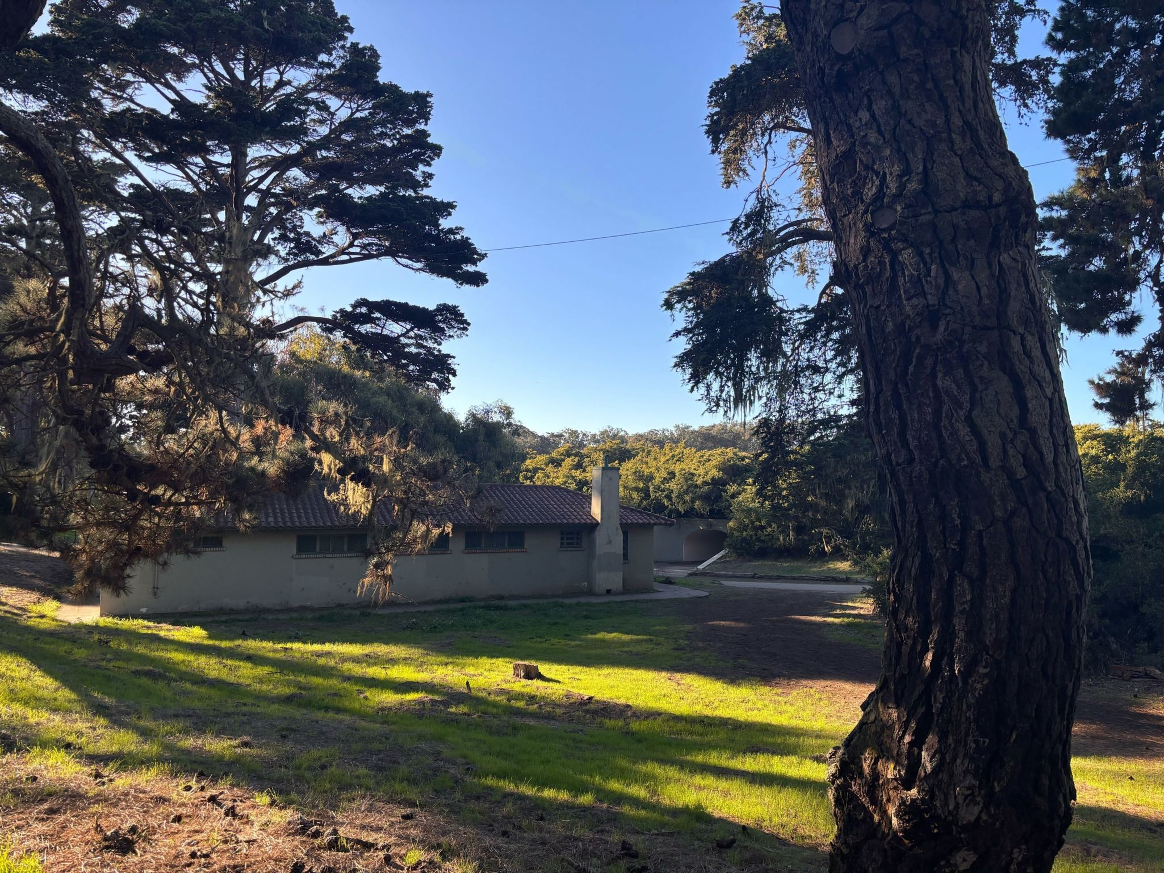 A small beige house with a red-tiled roof sits in a sunlit clearing surrounded by tall trees casting long shadows.