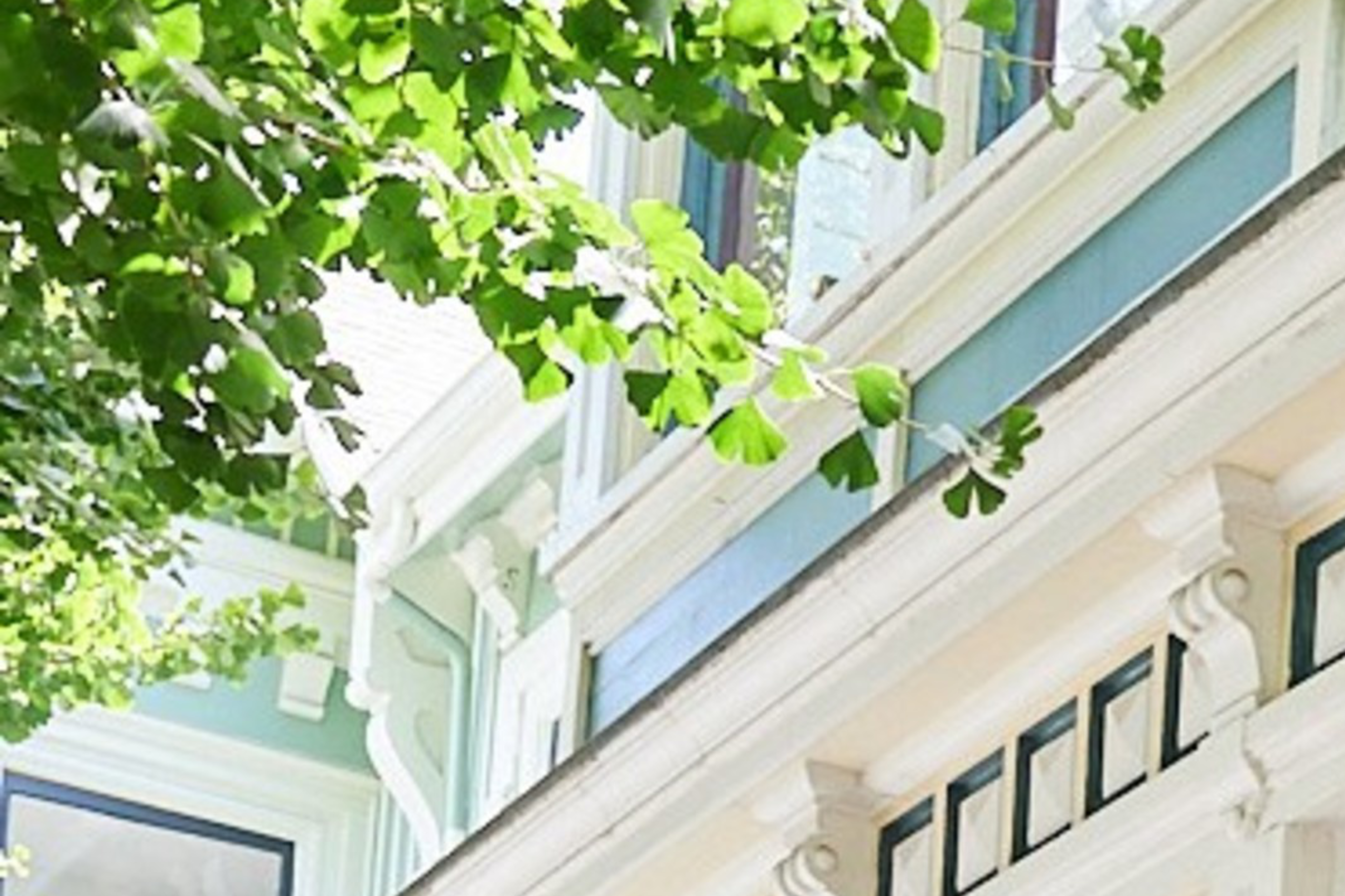 A man and a small dog stand on the steps of a charming Victorian-style house with columns and lush greenery. The man smiles while holding the dog's leash.