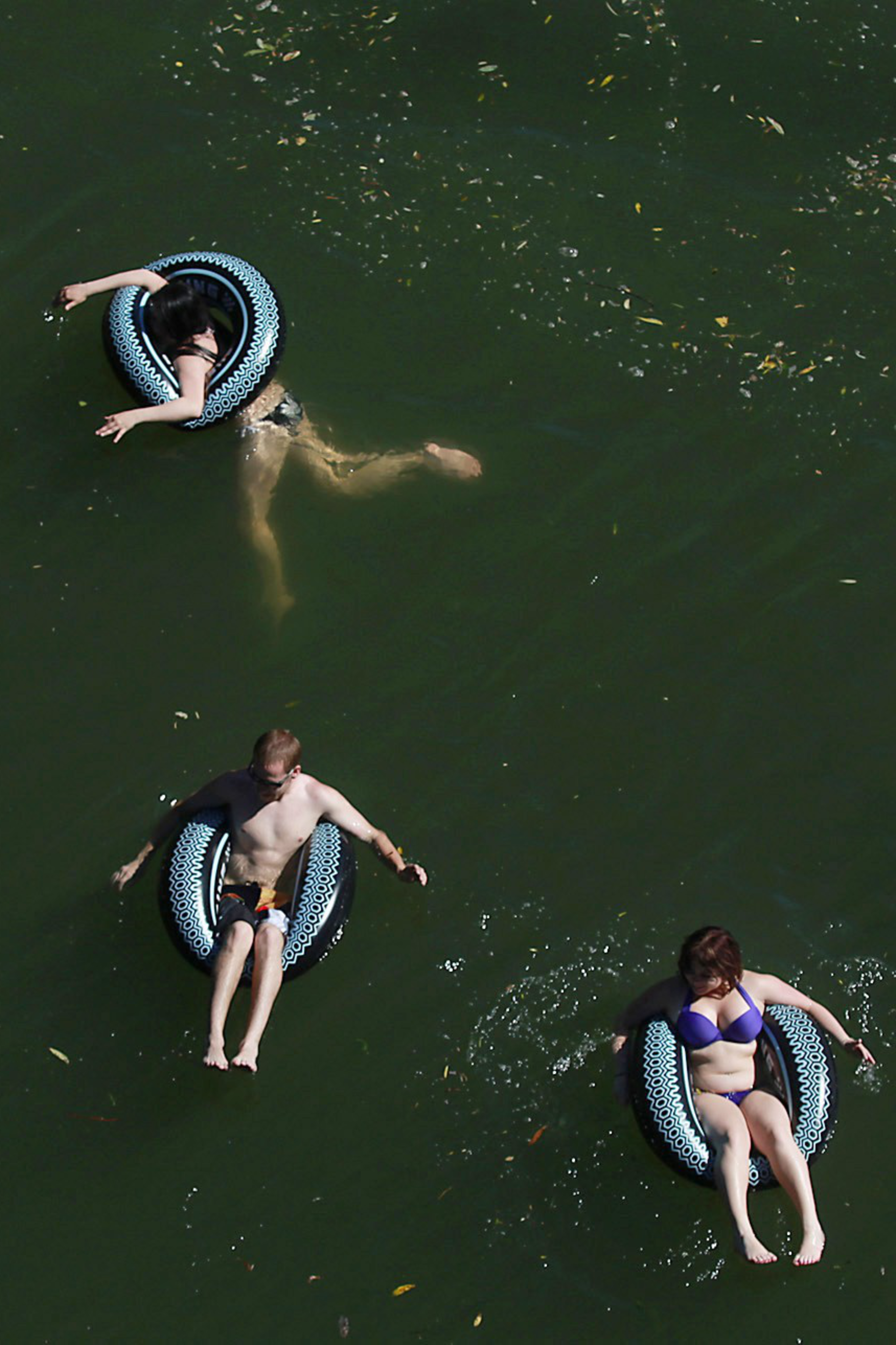 Five people are floating on round inflatable tubes in a body of water, and one person is seen underwater using an inflatable dolphin. The water has some leaves and debris.
