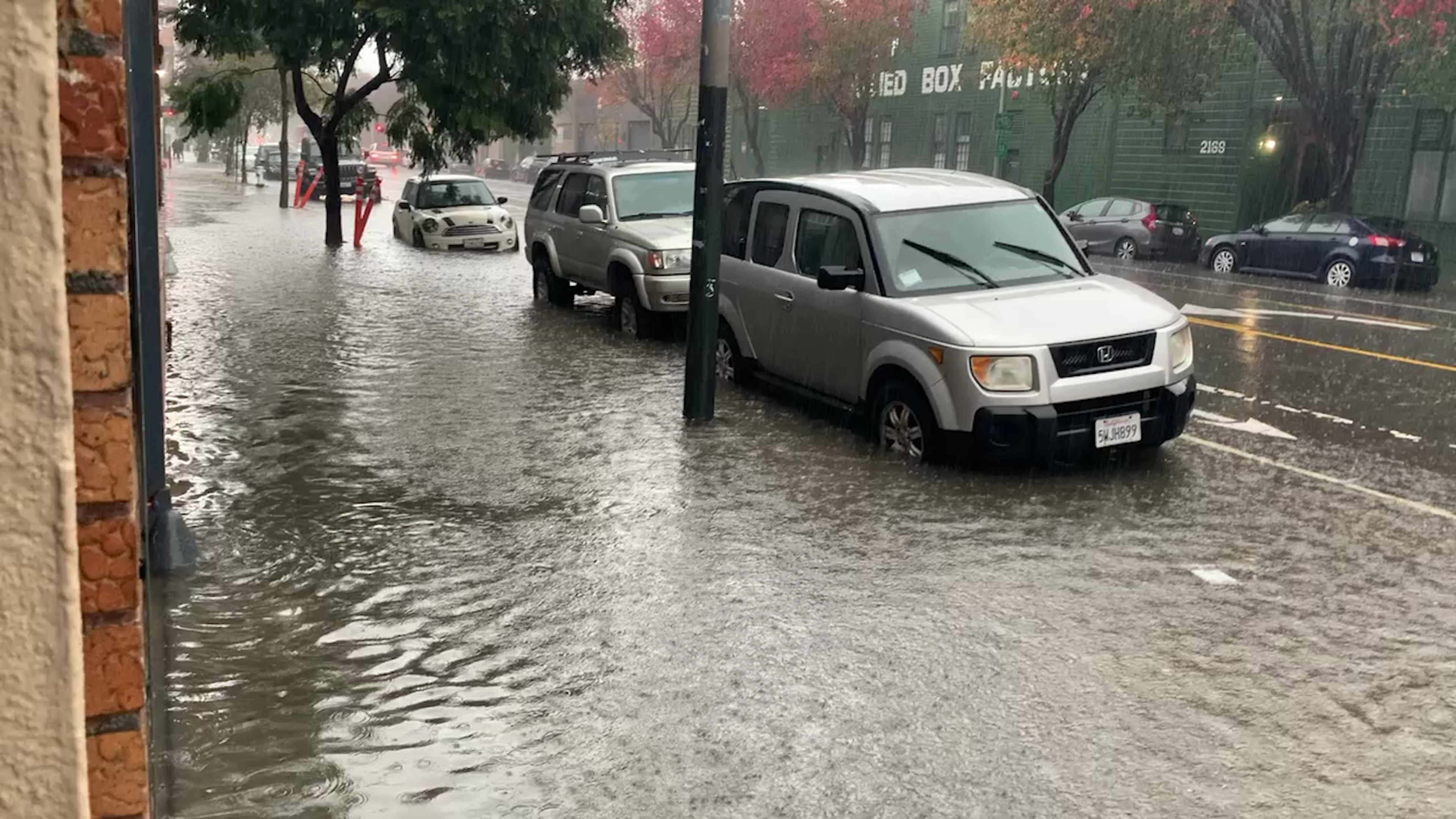 Several cars are partially submerged in floodwater covering a street and sidewalk during heavy rain.