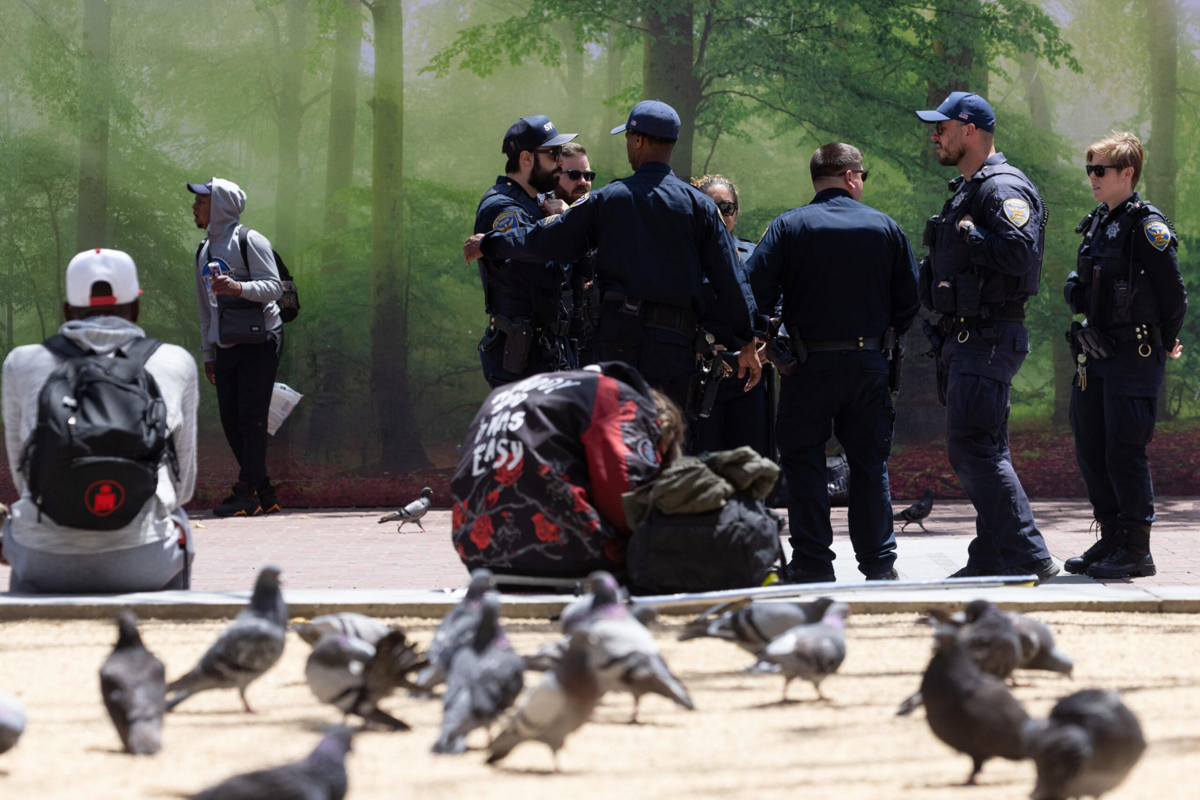 Pigeons and people on the street