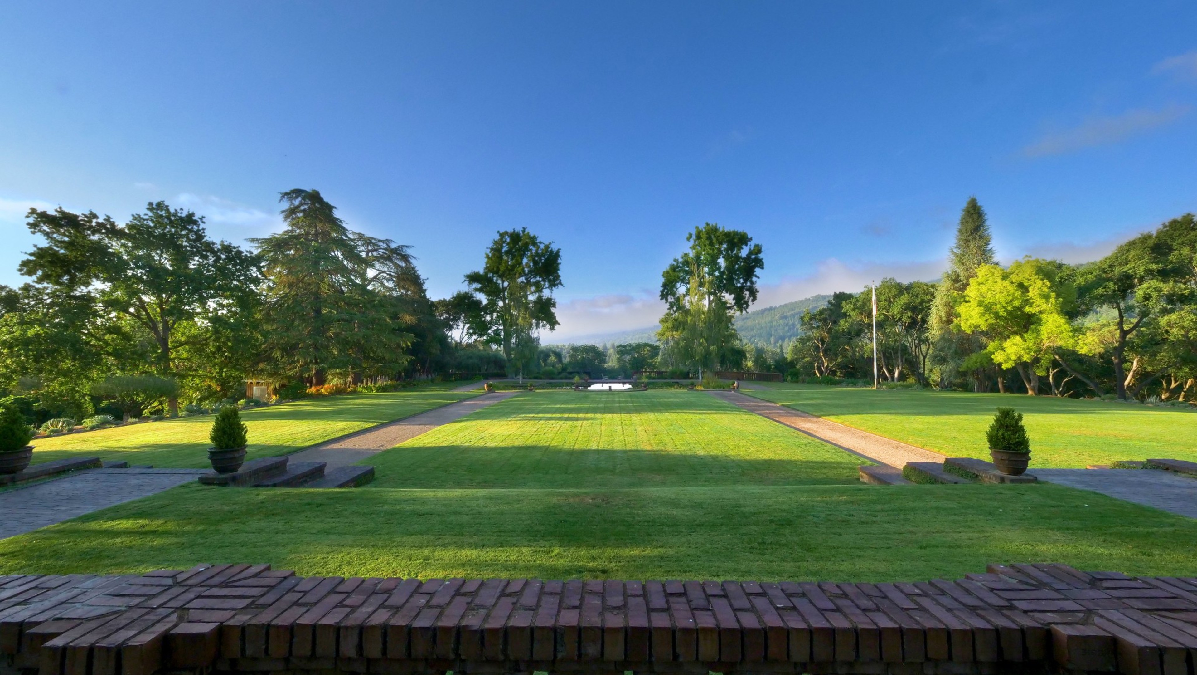 A massive lawn with trees in the background. 