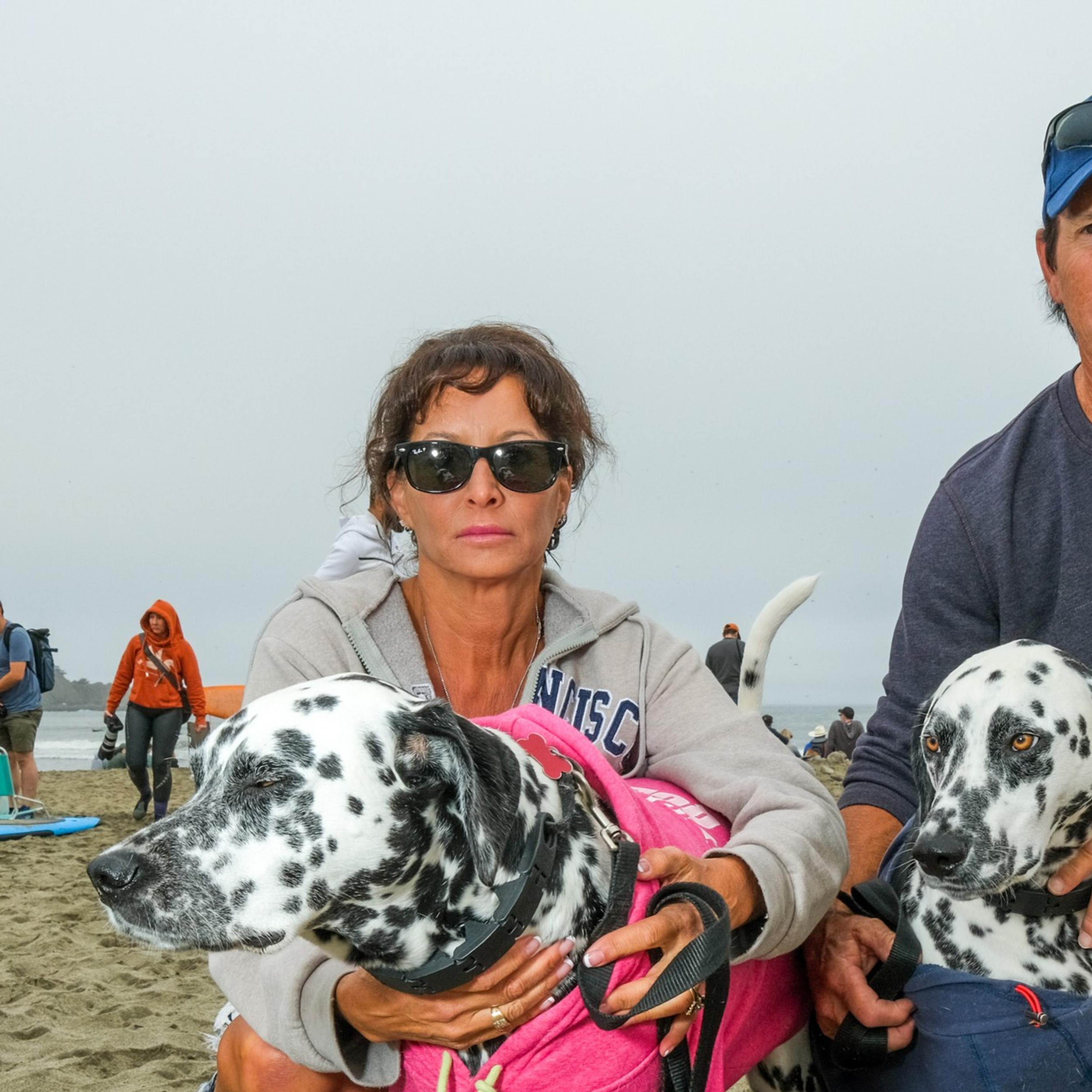 A man and woman kneel on the beach, holding two Dalmatians dressed in pink and blue hoodies. The beach appears crowded with people and tents in the background.