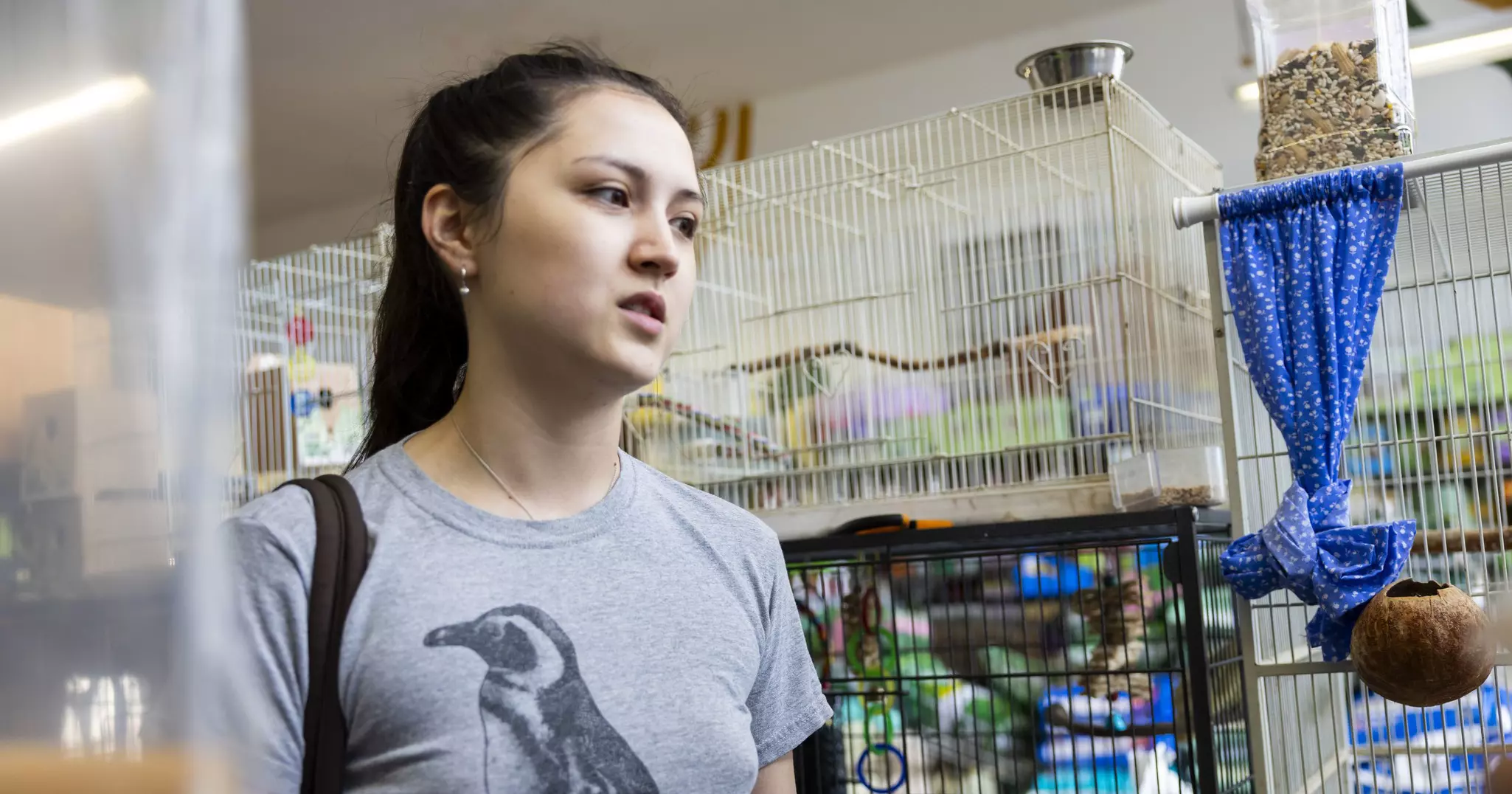 New Sunset supervisor left pet store in squalor, owner says