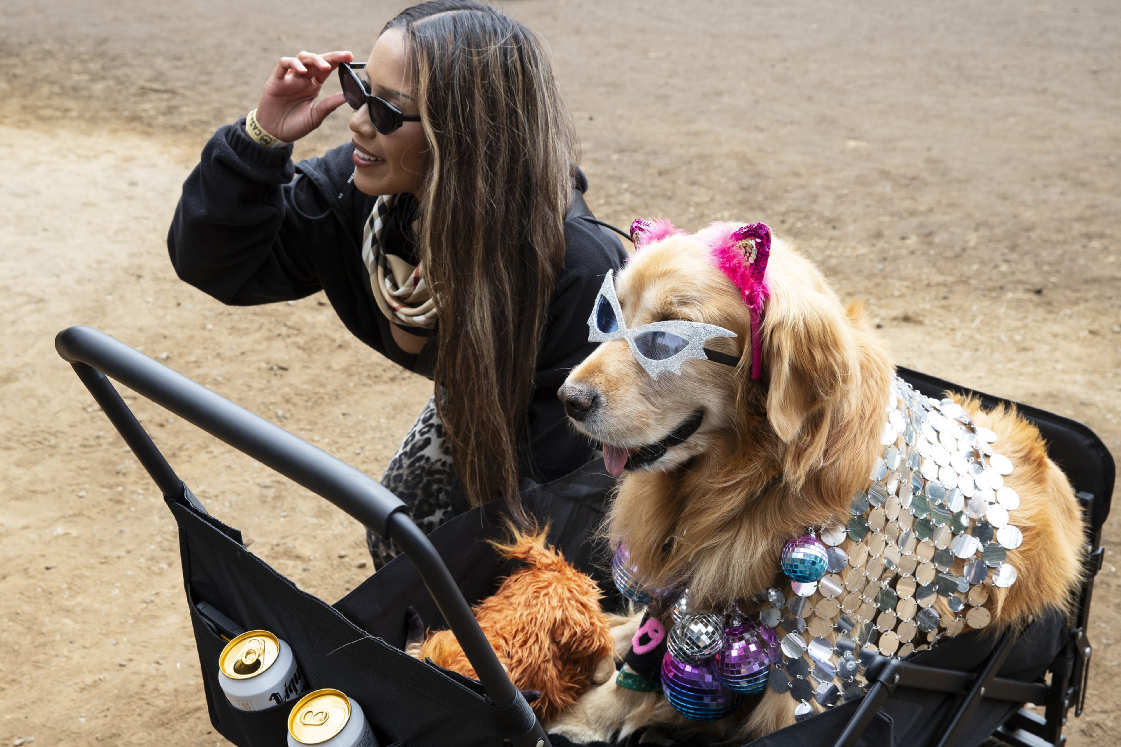 A woman wearing sunglasses poses next to a golden retriever dressed with silver sequins, cat ears, sunglasses, and Christmas ornaments in a stroller.