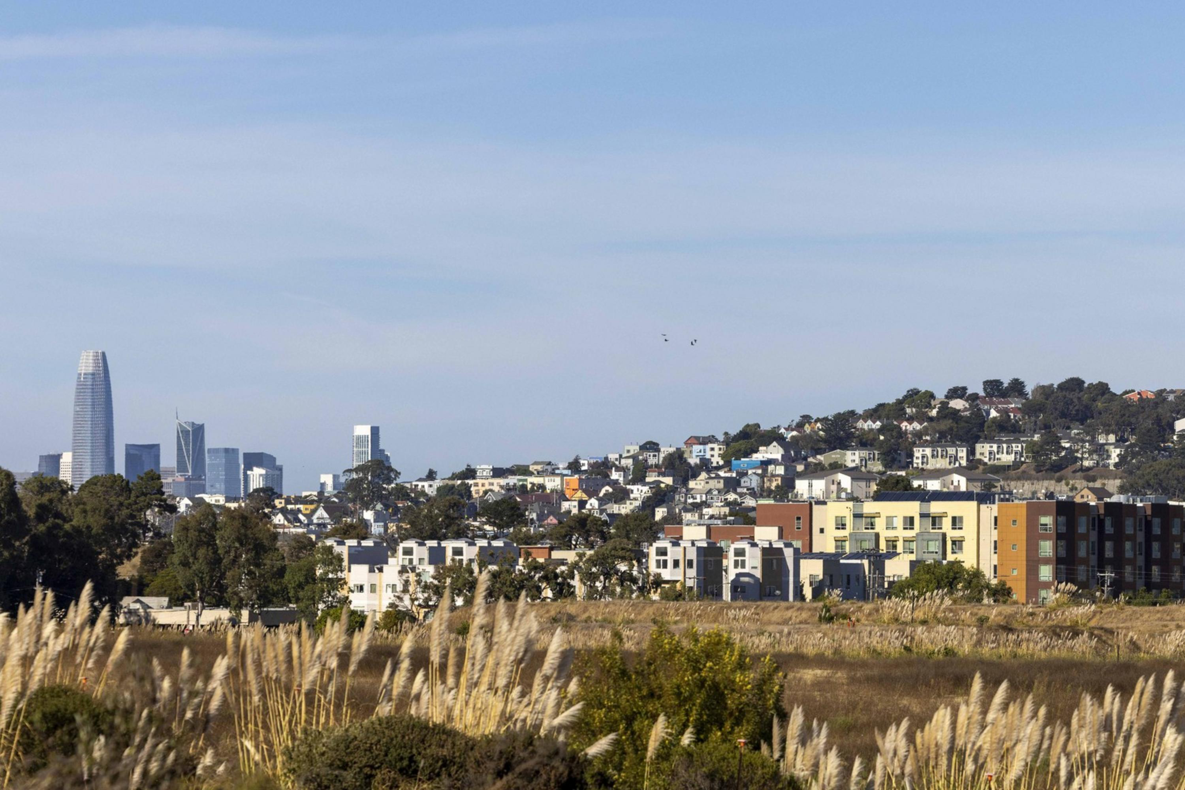 A field with tall grasses in the foreground, mid-rise buildings and houses on a hill behind, and city skyscrapers in the distant skyline under a clear blue sky.
