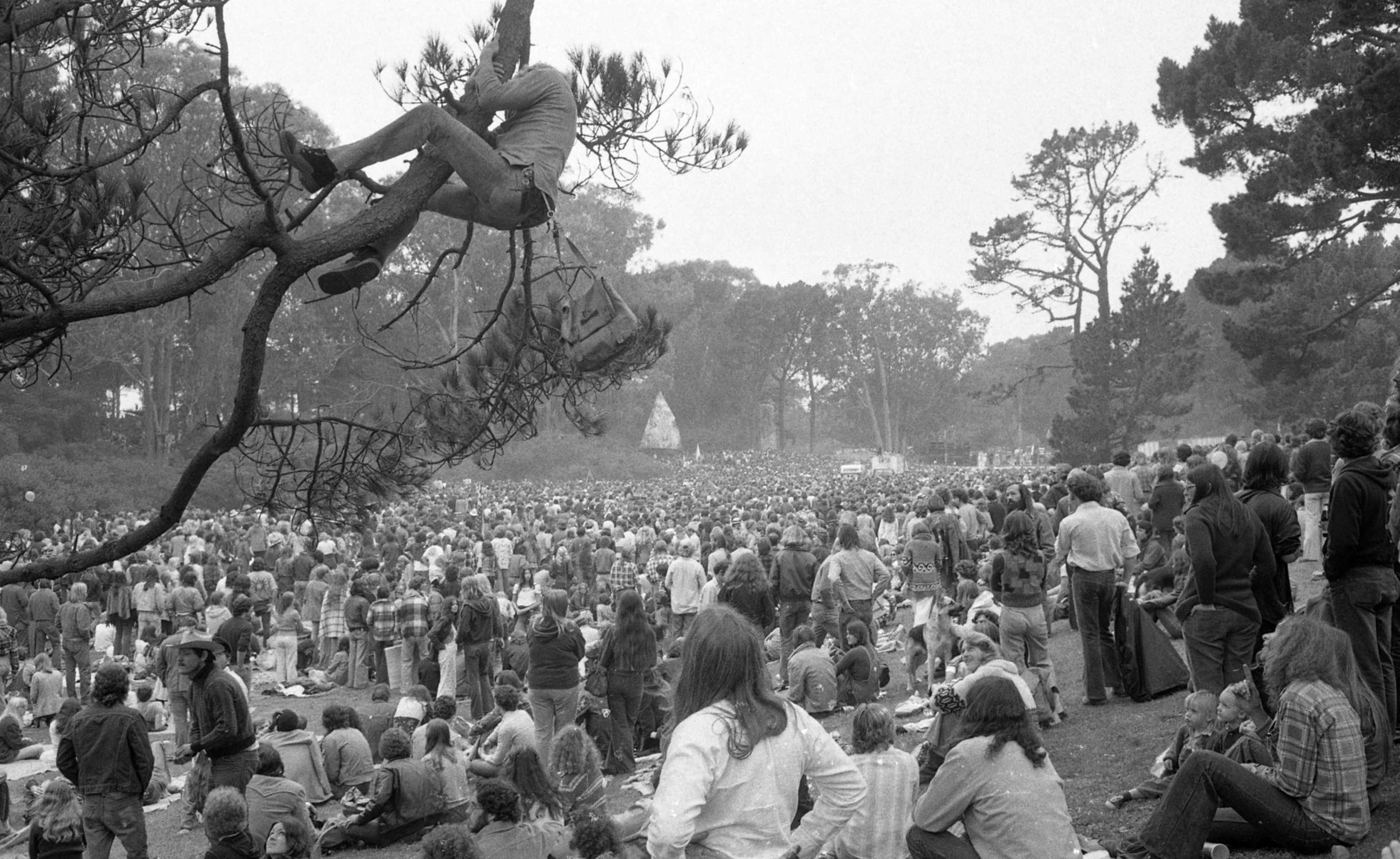 A large outdoor crowd gathers on a grassy hillside. A person sits on a tree branch above, and tall trees surround the scene, creating a sense of a peaceful gathering.