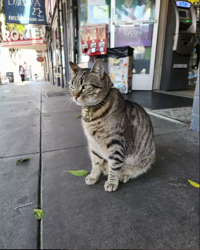 KitKat in San Francisco