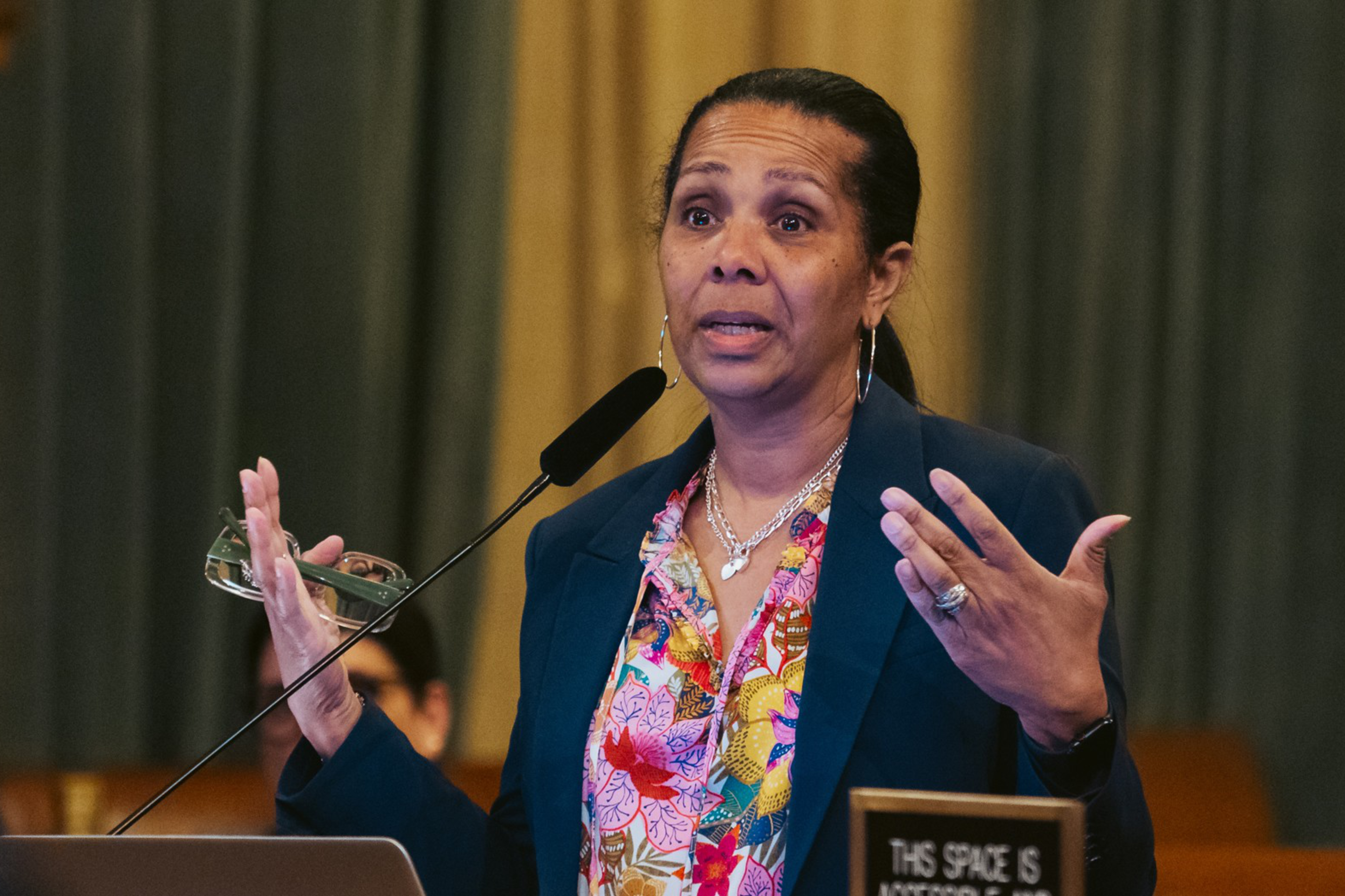 A person speaking infront of a microphone at city hall.