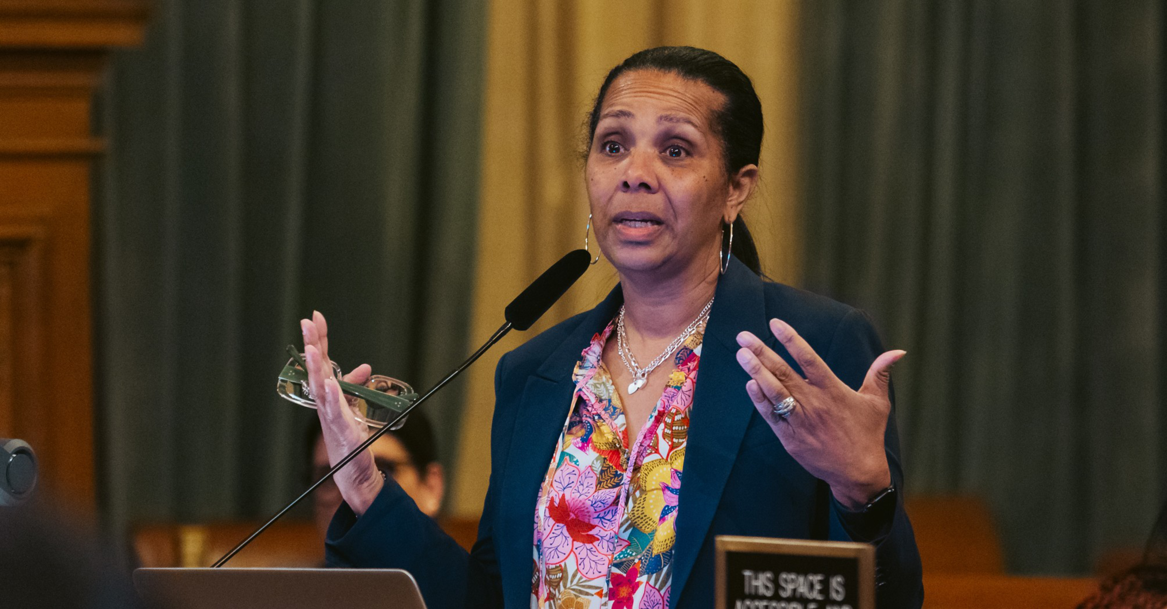 A person speaking infront of a microphone at city hall.