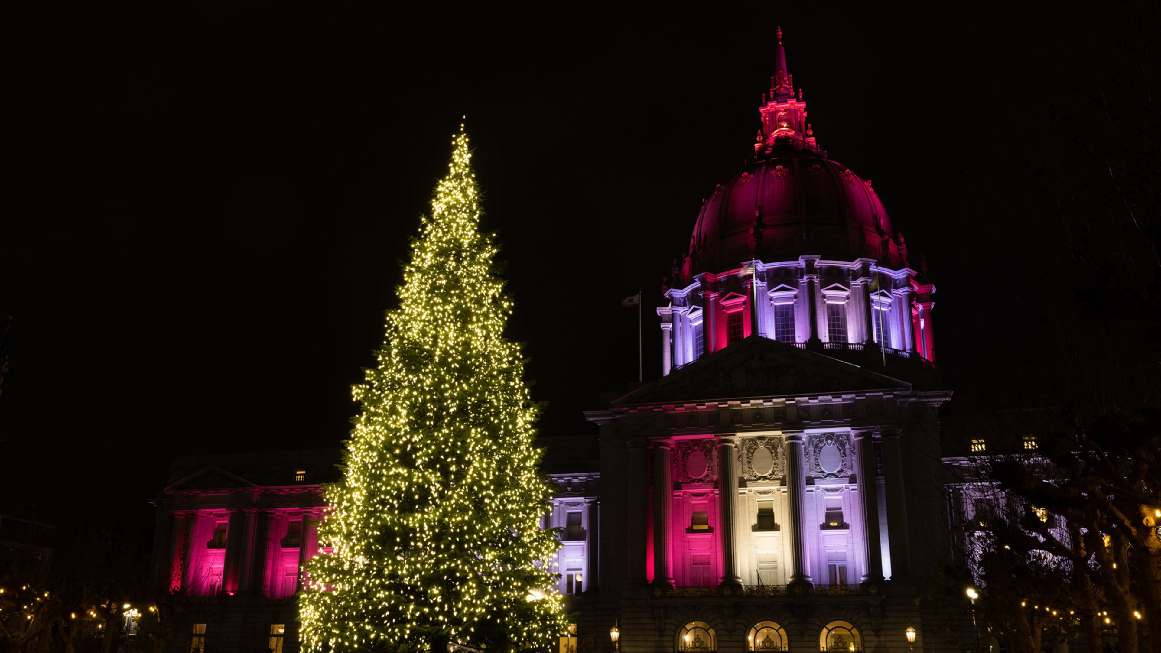 An illuminated Christmas tree stands in front of a lit up San Francisco City Hall at night on Dec. 9, 2022.