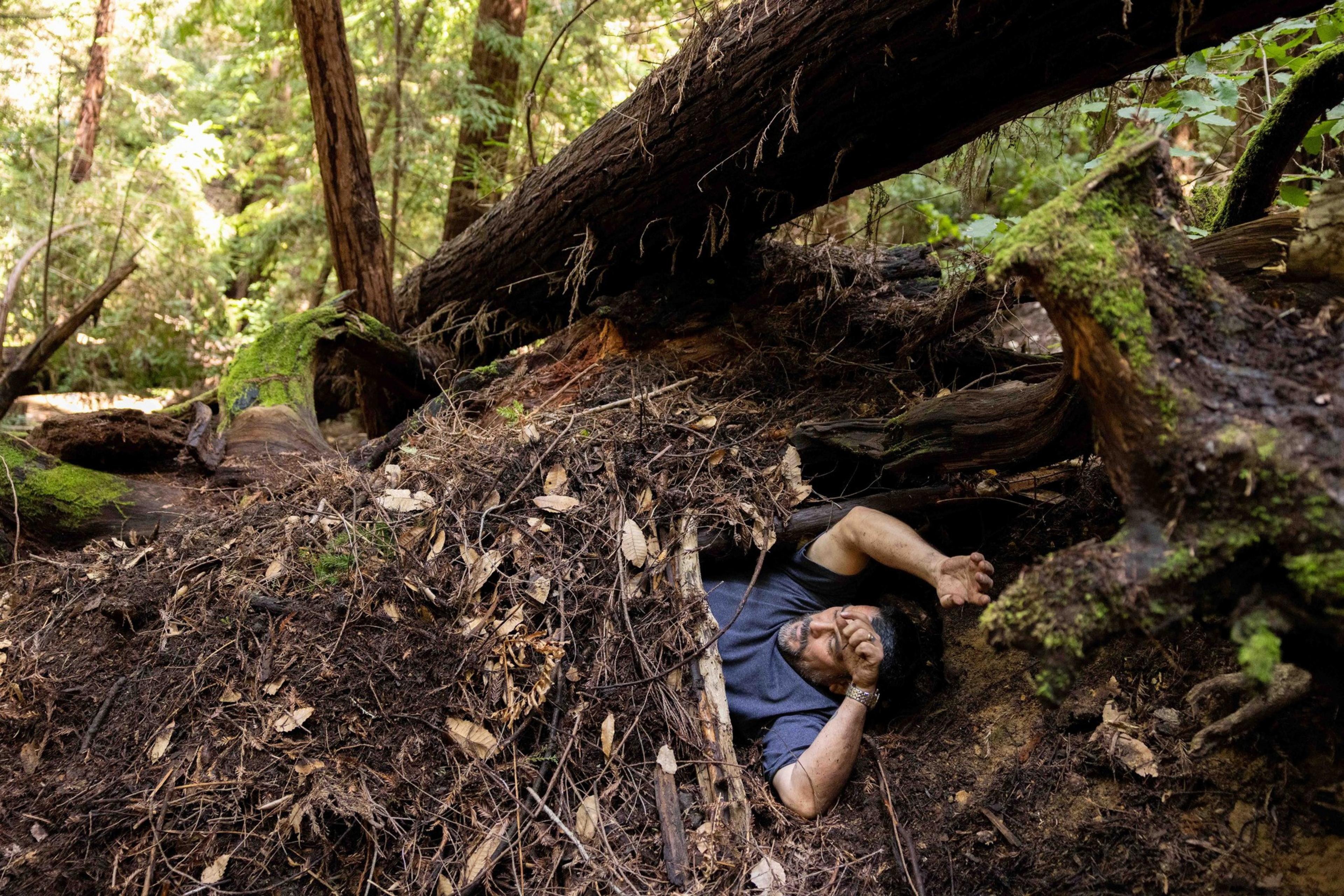A person lies on the forest floor, partially covered with leaves and branches, beneath a large fallen tree. Sunlight filters through the dense greenery above.