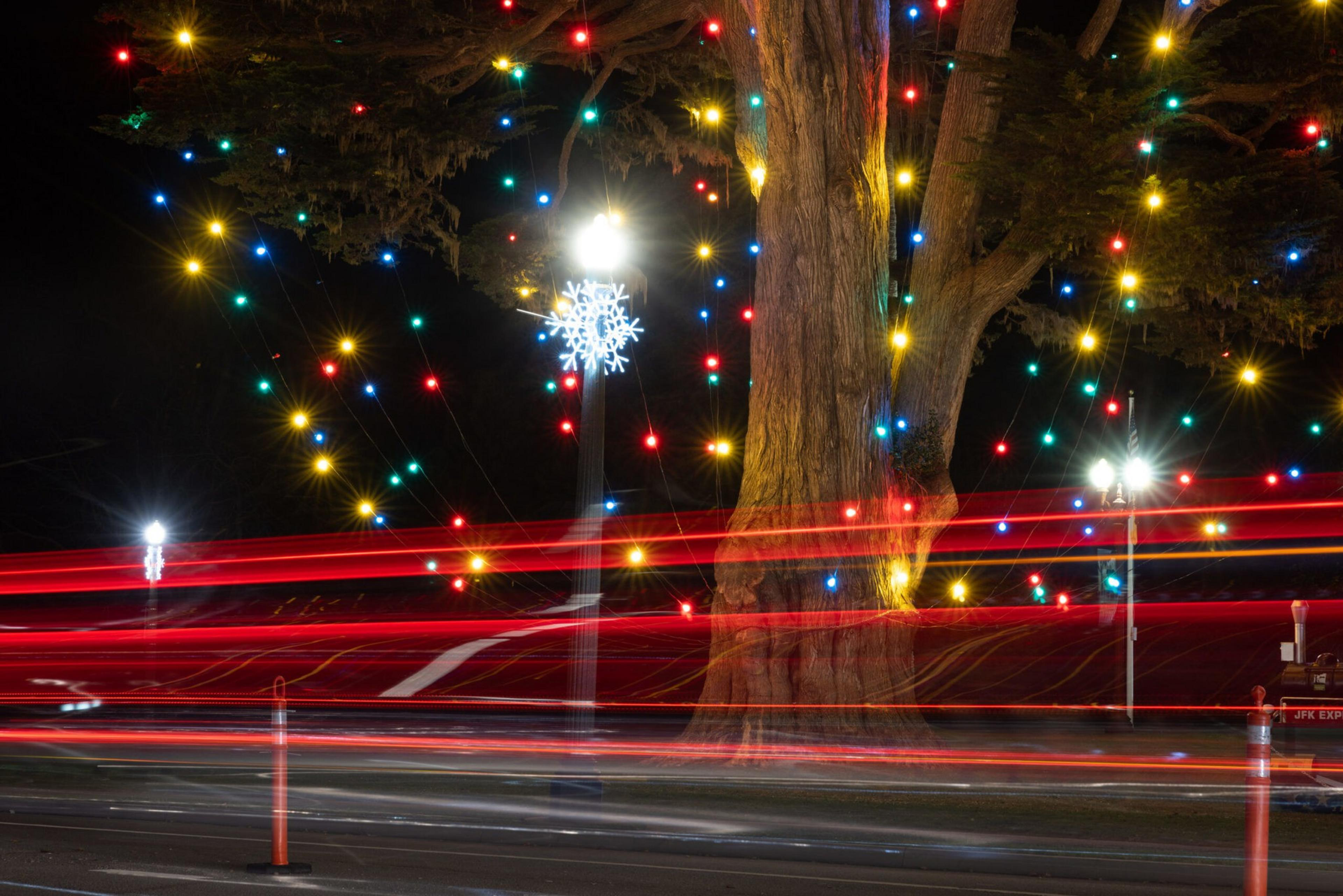 A large tree wrapped in colorful holiday lights glows at night, with white snowflake street lamps and red light trails from passing cars in the foreground.