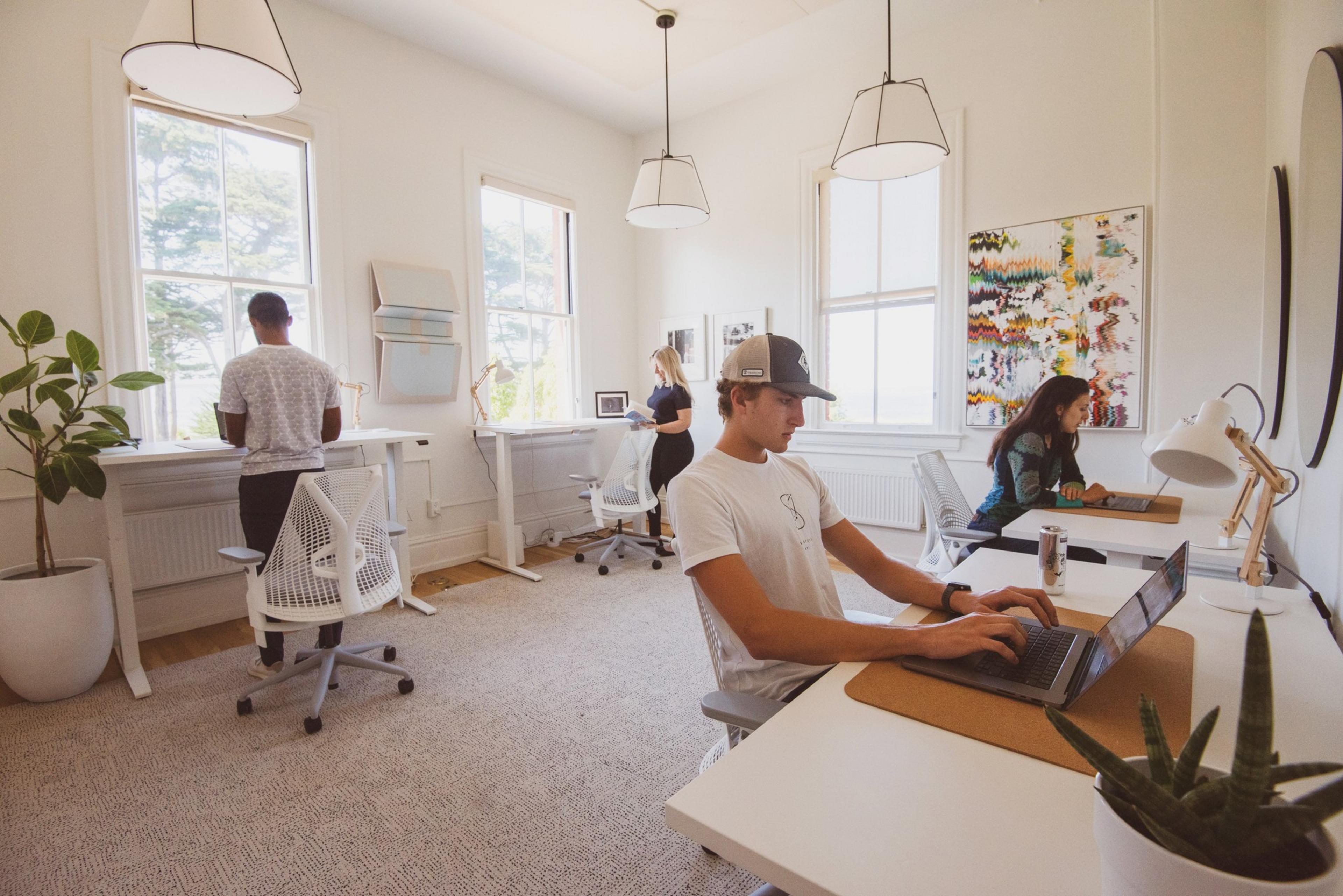 People work at desks with computers in a bright office with plants and modern decor.