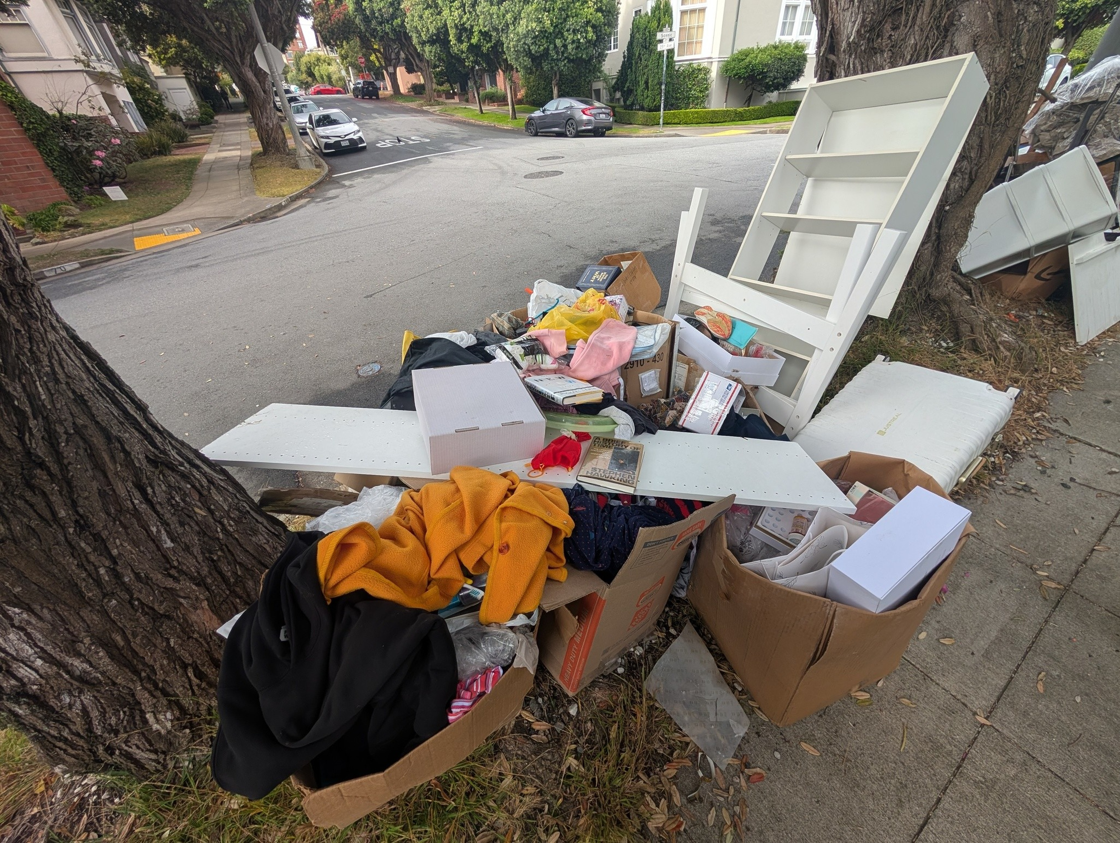 Discarded furniture, cardboard boxes filled with clothes, various household items, and packaging are piled between two trees on a residential street corner.