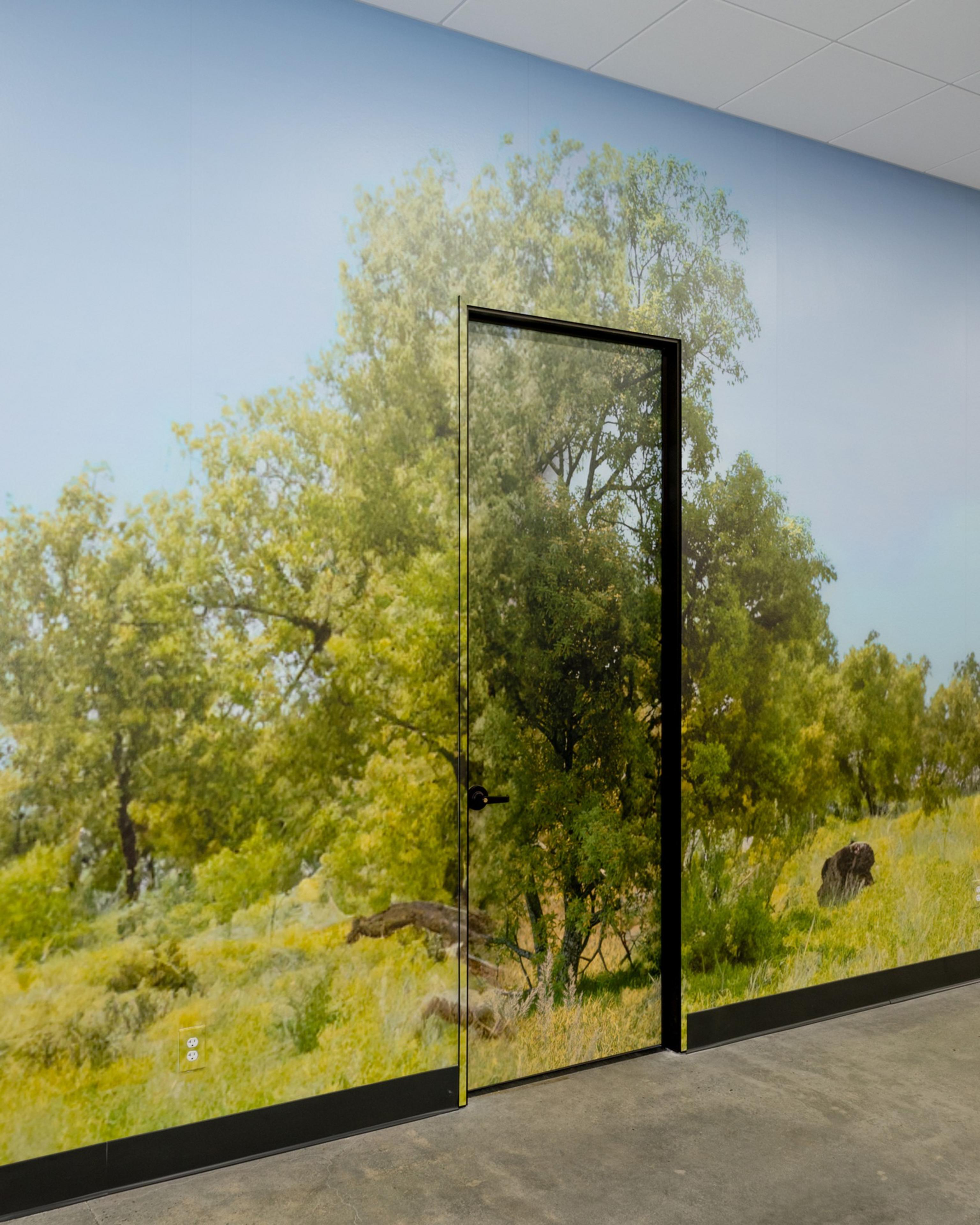 A wall features a realistic mural of a green forest, with a cleverly disguised door blending into the scene. The floor is concrete, and the ceiling is white.