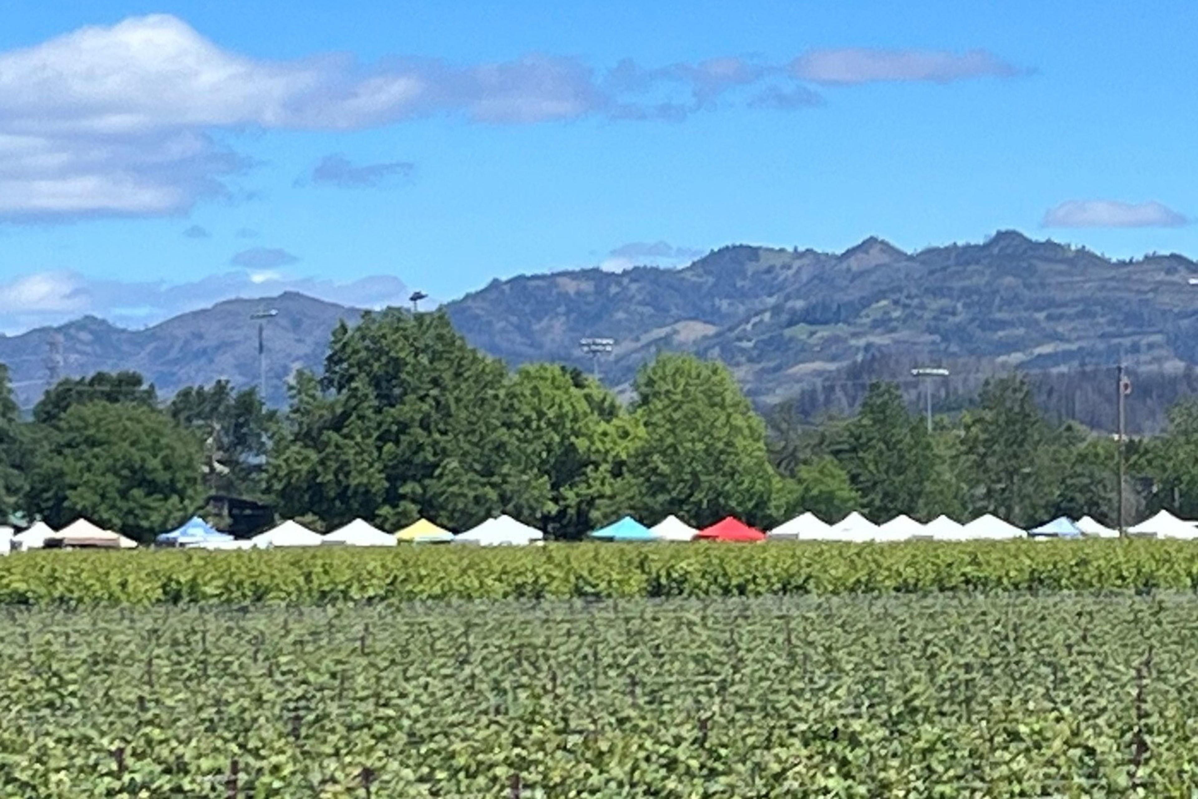 The image shows a field with green crops in the foreground, colorful tents in the middle, and a backdrop of green trees and mountains under a blue sky with clouds.