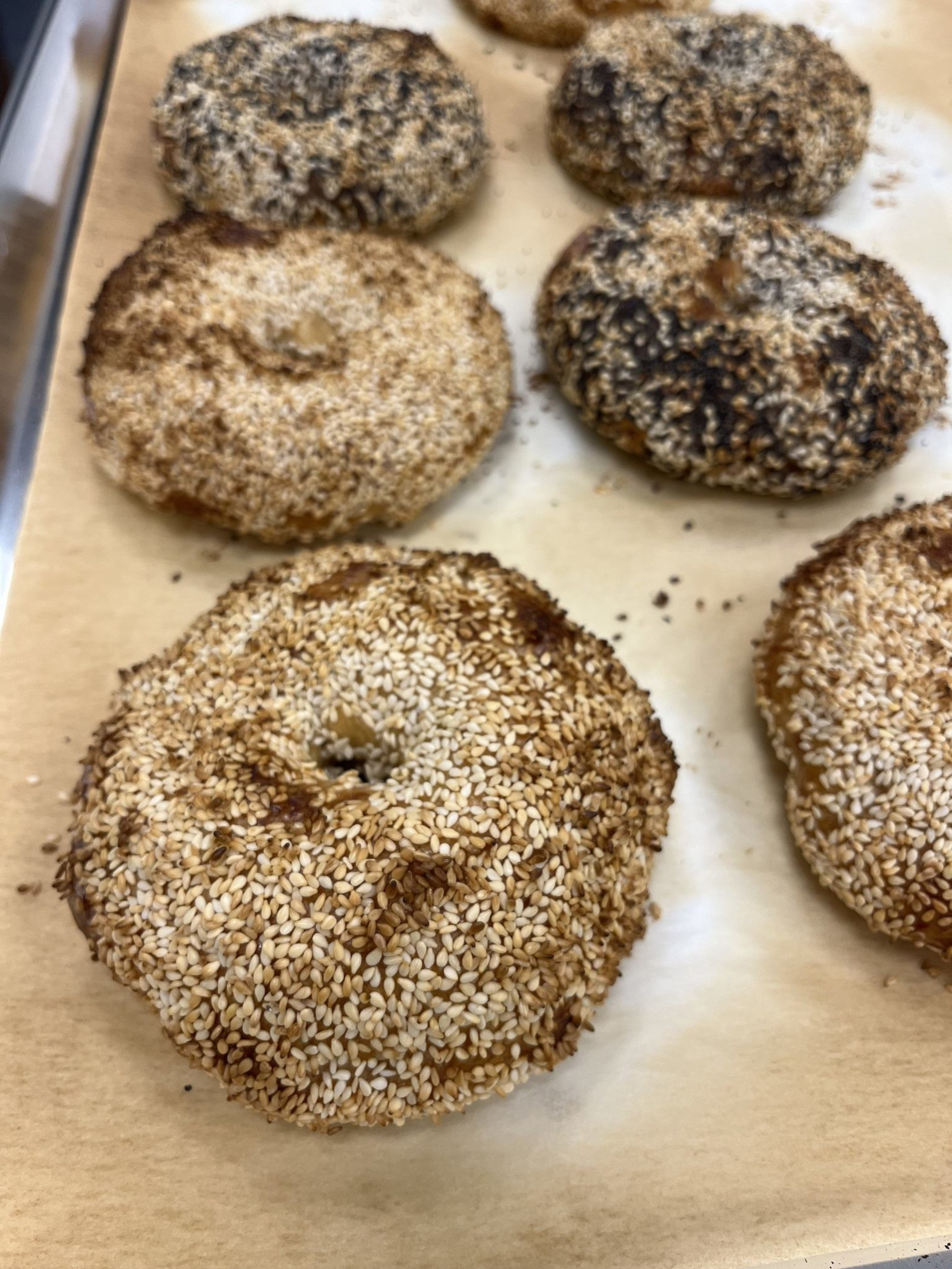 The image shows a tray of several sesame seed-covered bagels, some more toasted than others, resting on baking paper.