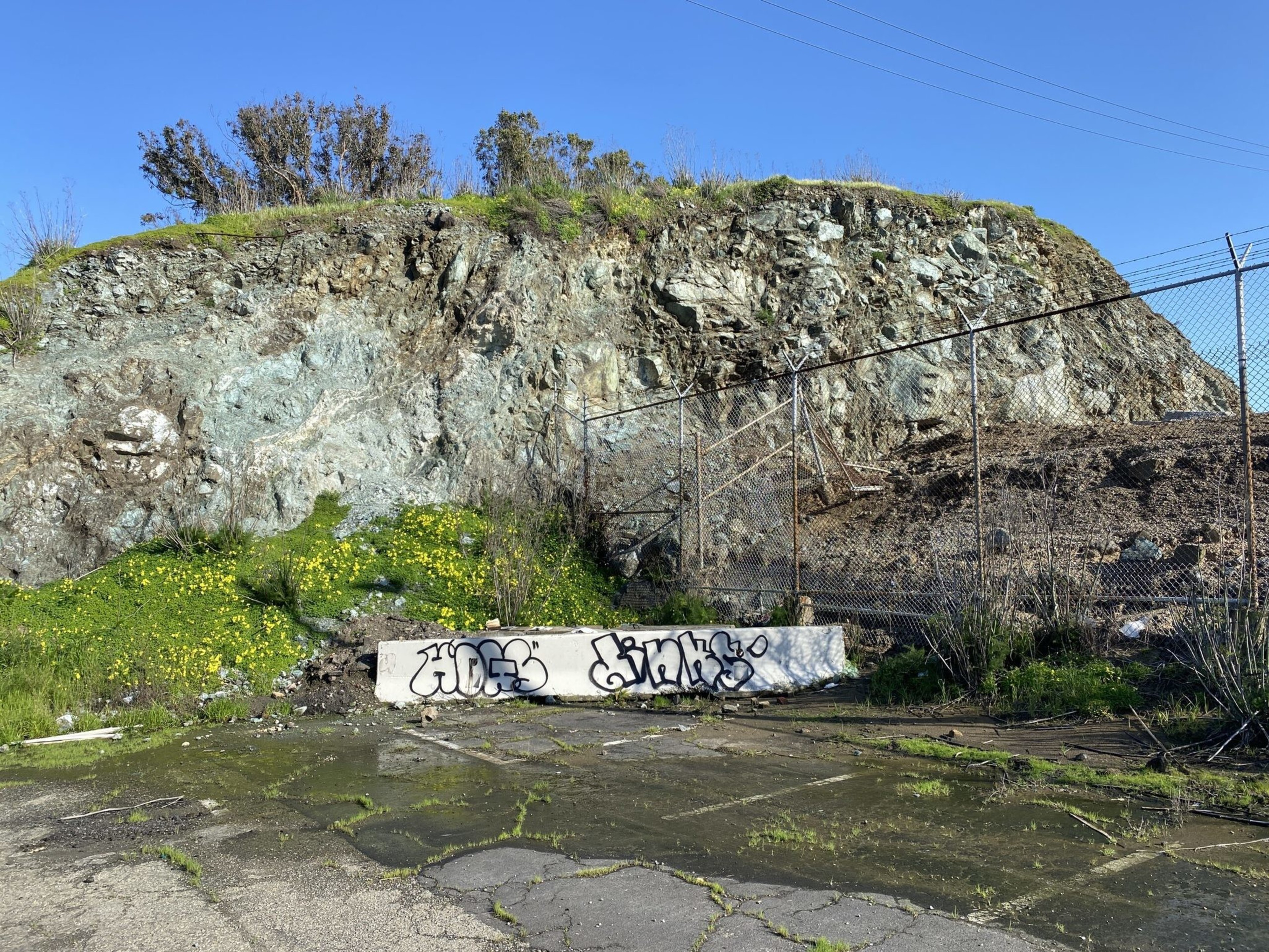 A rocky hillside with sparse grass and yellow flowers sits behind a chain-link fence and a concrete barrier covered in graffiti.