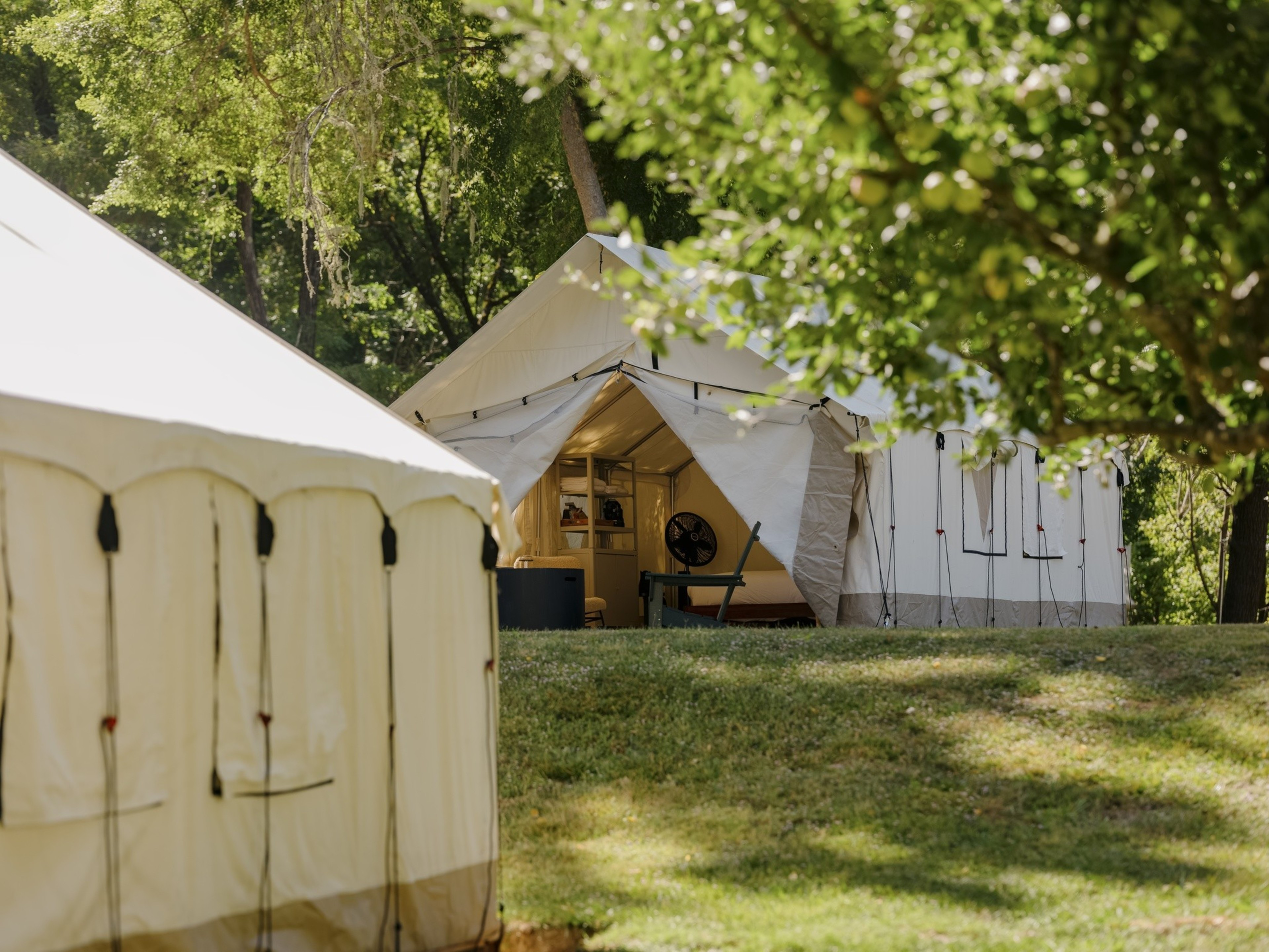 The image shows two white canvas tents set up on a lush, green grassy area with trees in the background. Inside one tent, furniture and a fan are visible.