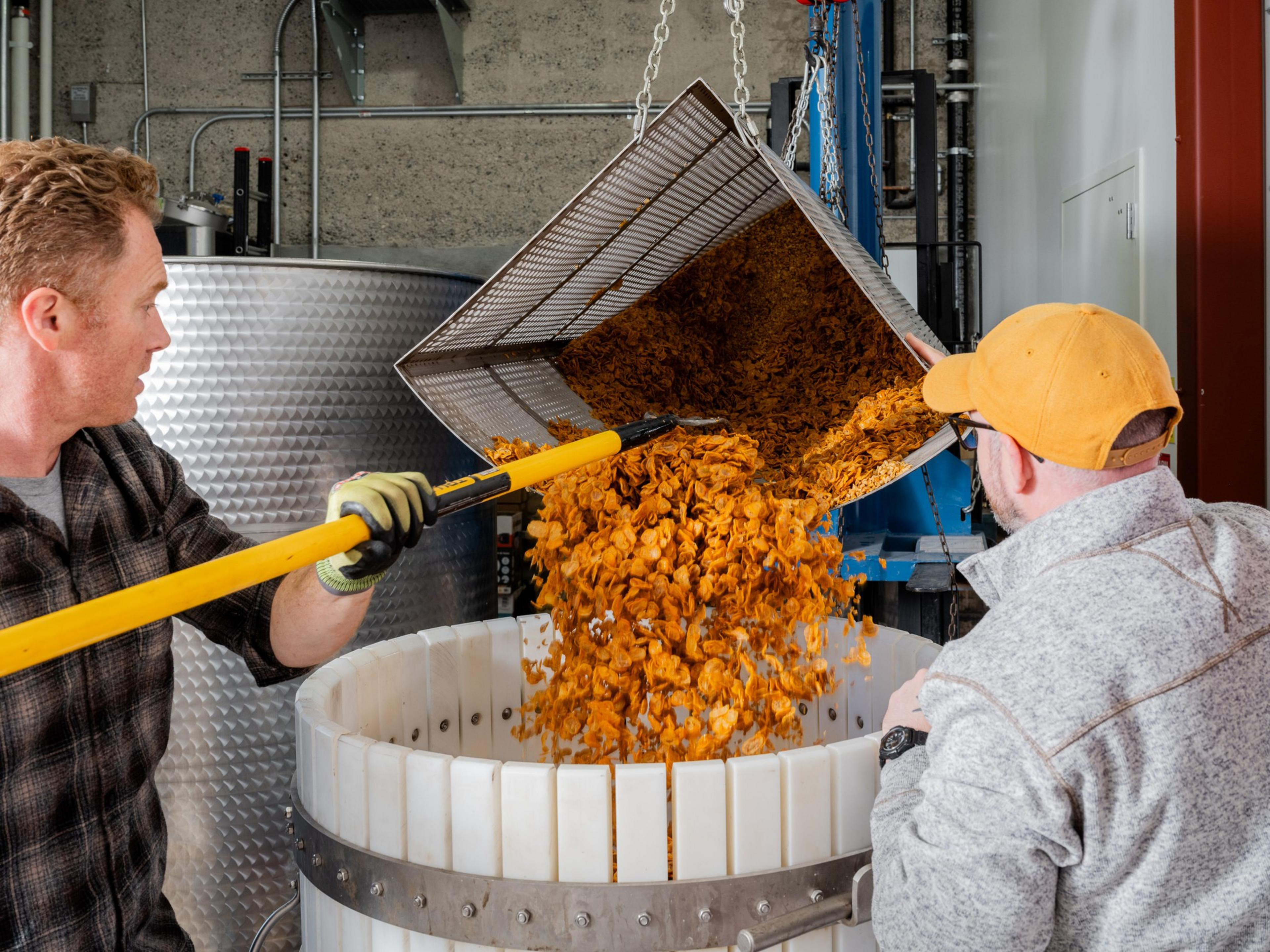 Two people are operating machinery to pour orange flower petals into a large white container within an industrial setting.