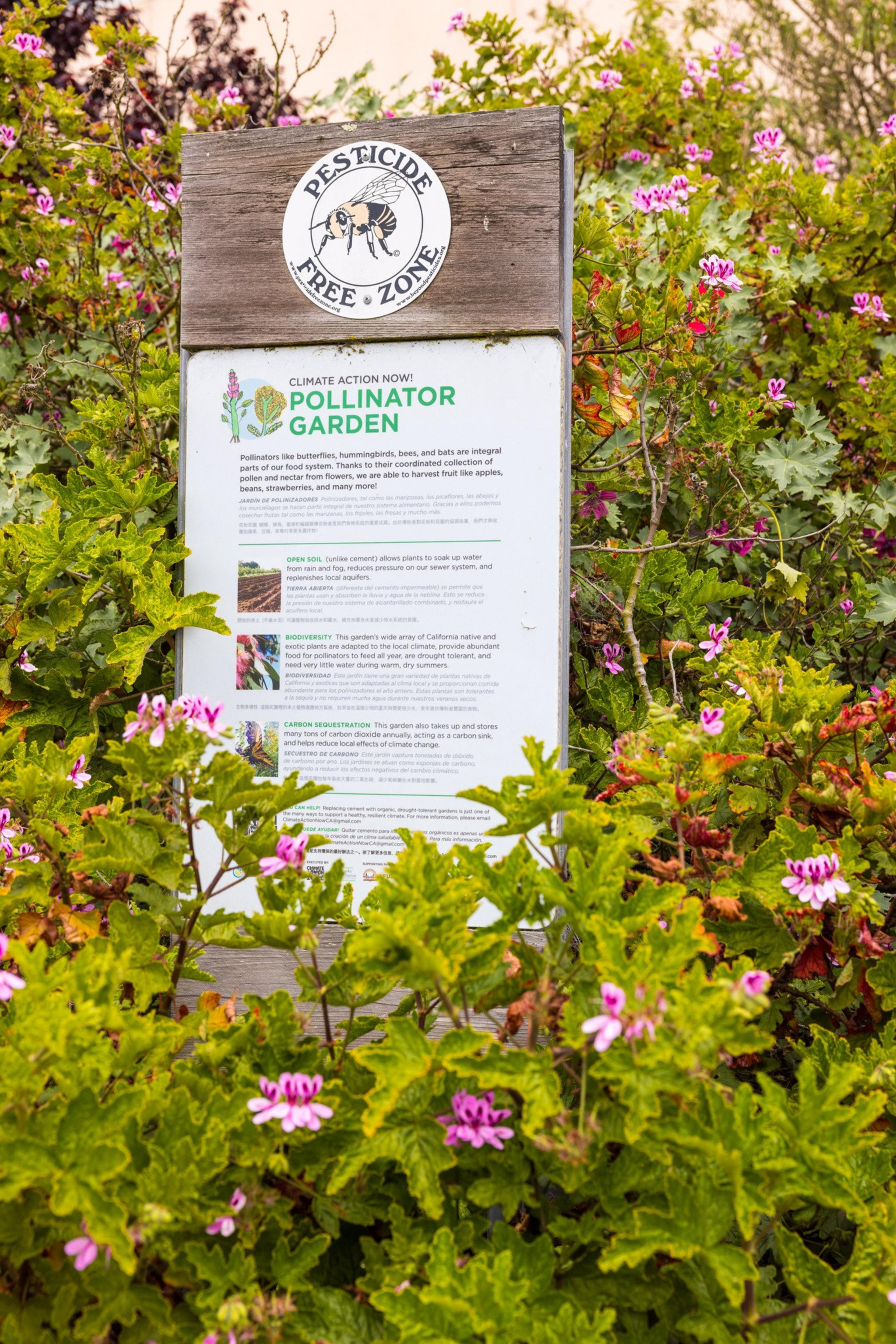 A &quot;Pesticide Free Zone&quot; sign stands amid lush green foliage and pink flowers in a pollinator garden, with a board explaining eco-friendly practices.