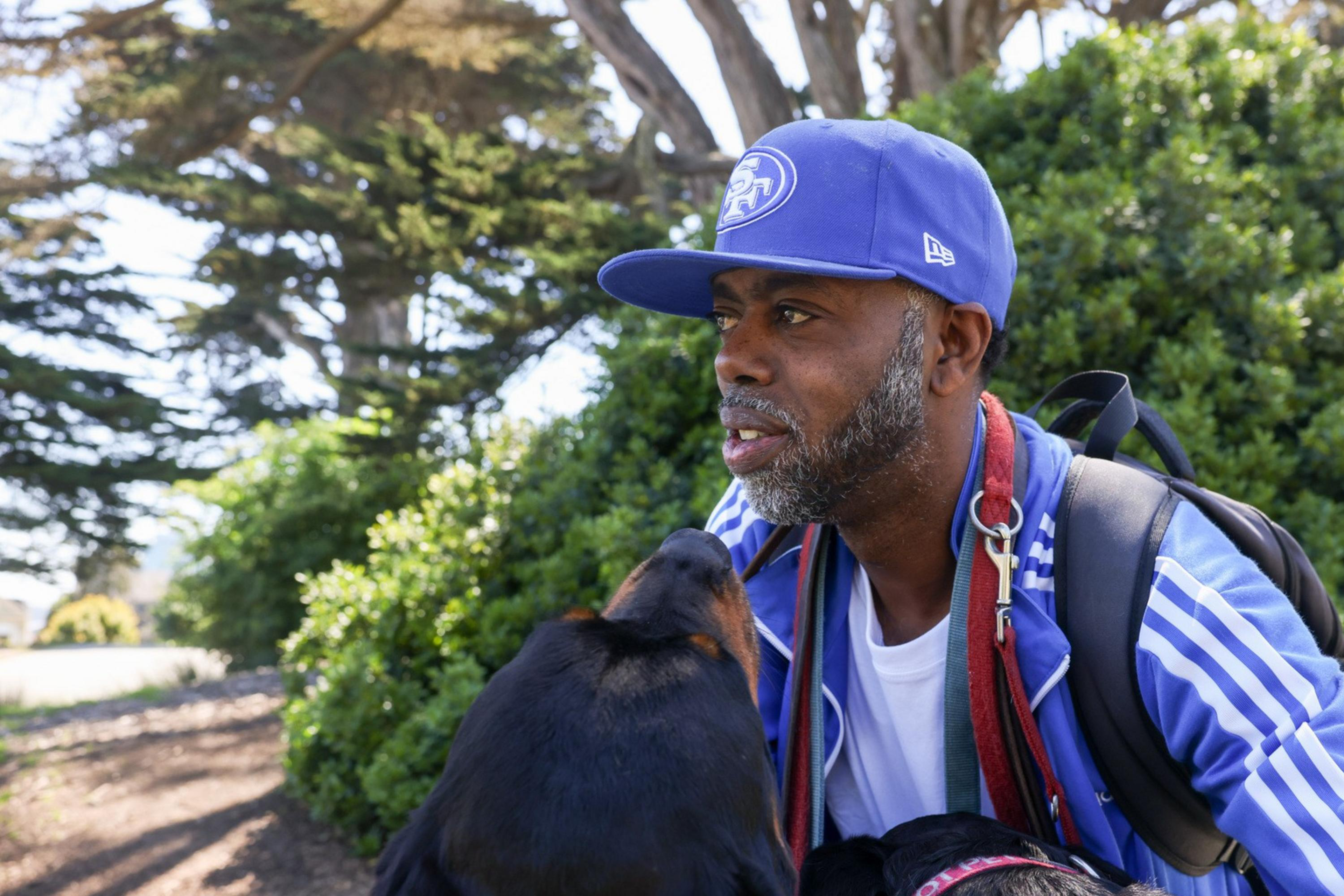 A man in a blue cap and jacket walks with two dogs in a sunny, tree-lined path.
