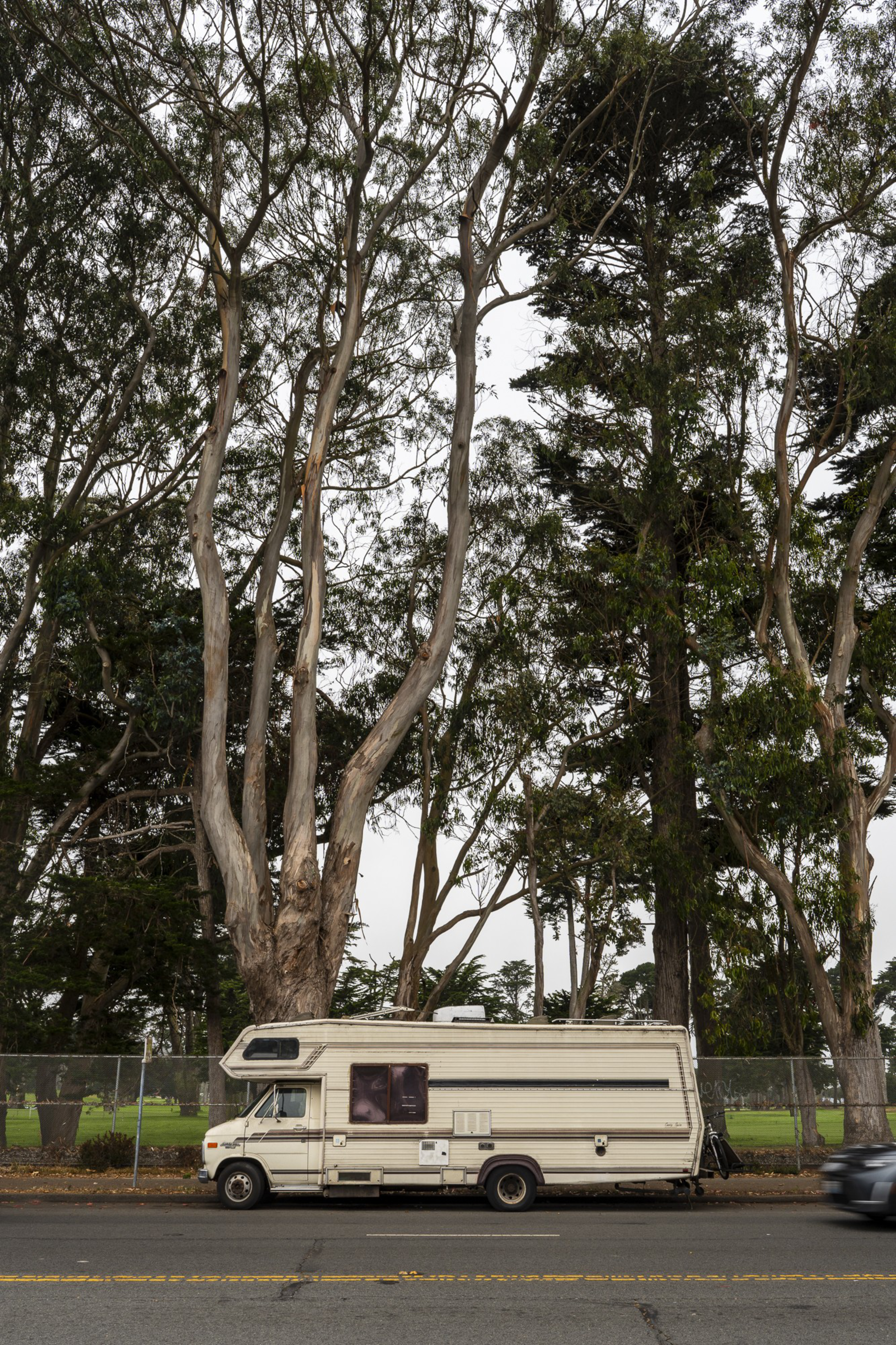 A beige RV is parked on a roadside, surrounded by tall trees with thin trunks and dense foliage. A blurred car passes by on the road in the foreground.