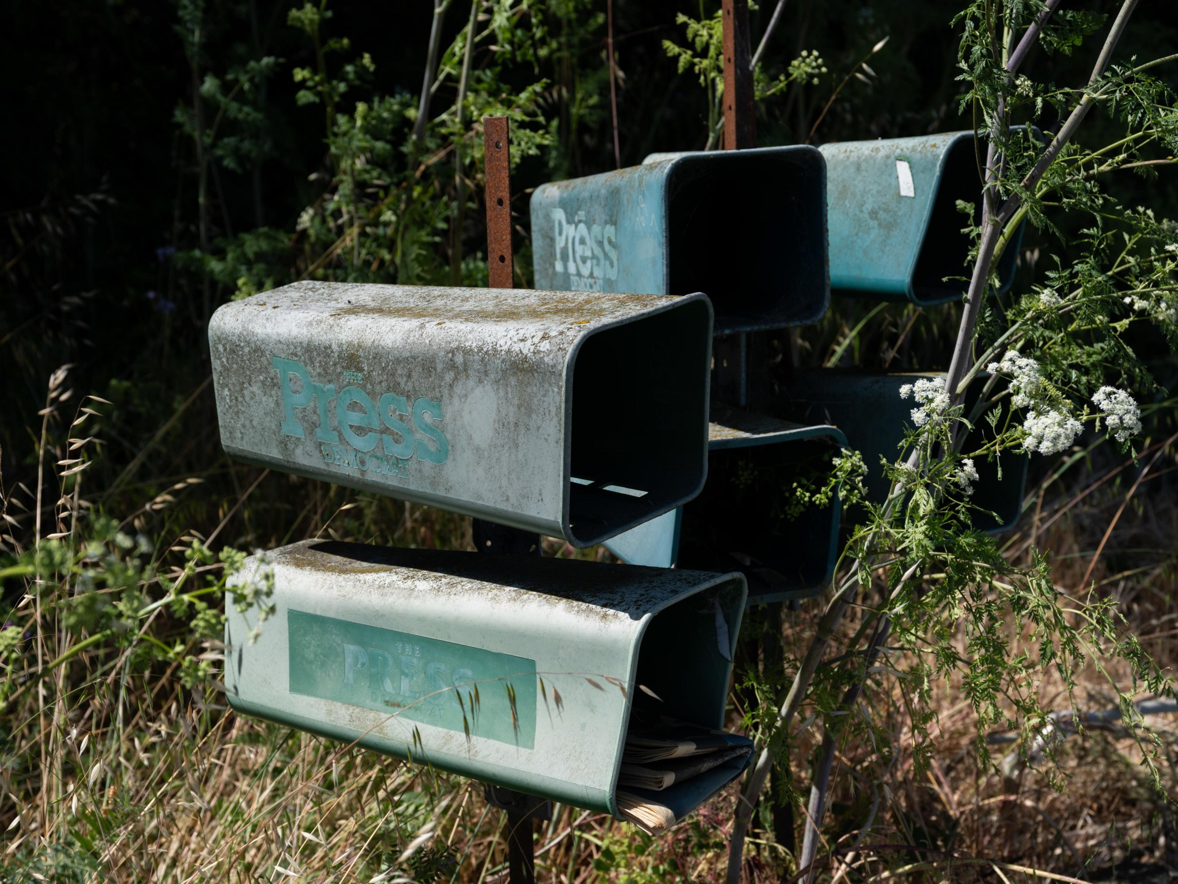 Six old, weathered newspaper holders labeled &quot;Press Democrat&quot; are clustered together. They're surrounded by tall grass and wild plants.