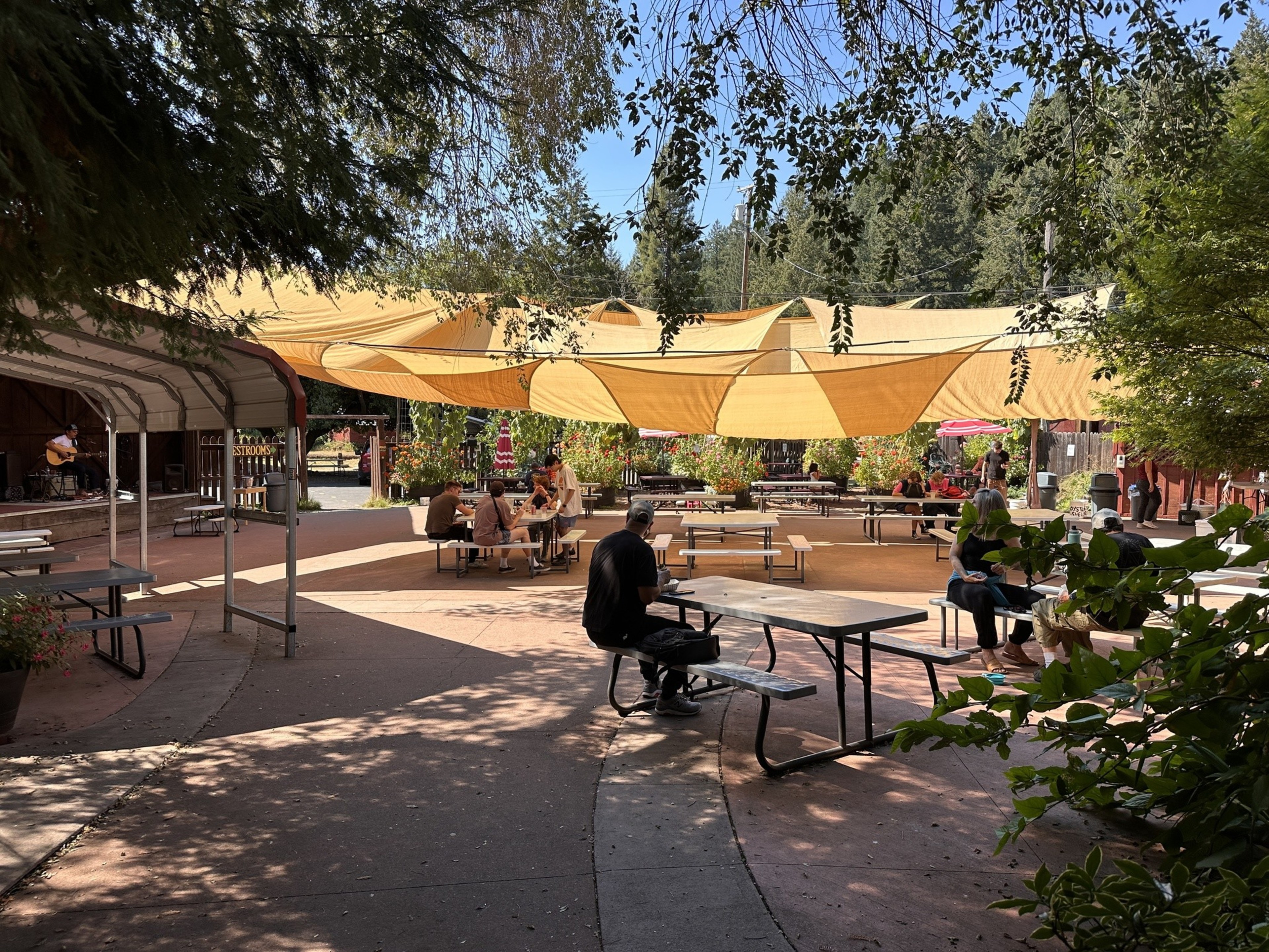 People are seated at picnic tables under yellow shade sails in an outdoor area surrounded by trees. A musician plays guitar on a small stage.
