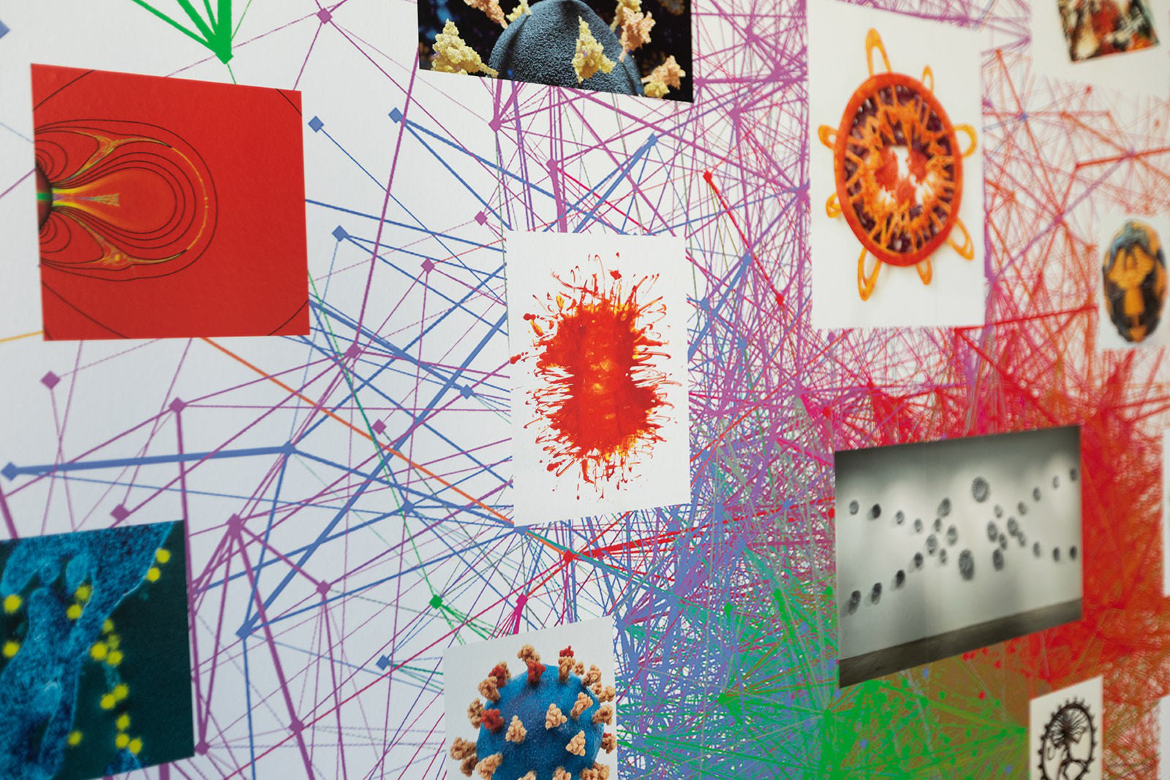 Colorful interconnected lines link various scientific and microscopic images of virus-like structures on a white background.