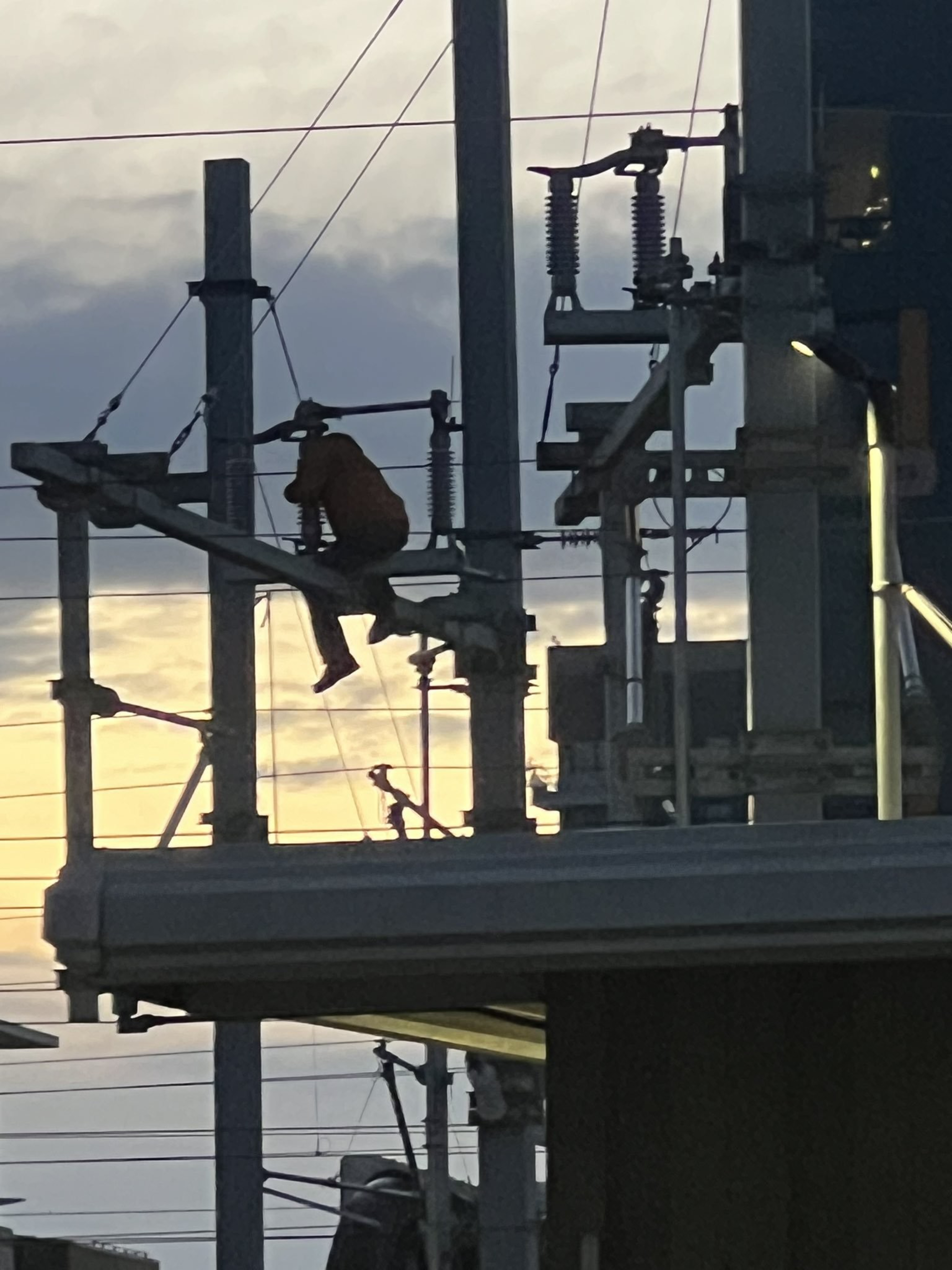 a silhouette of a man sat on a pole is seen against an early morning sky