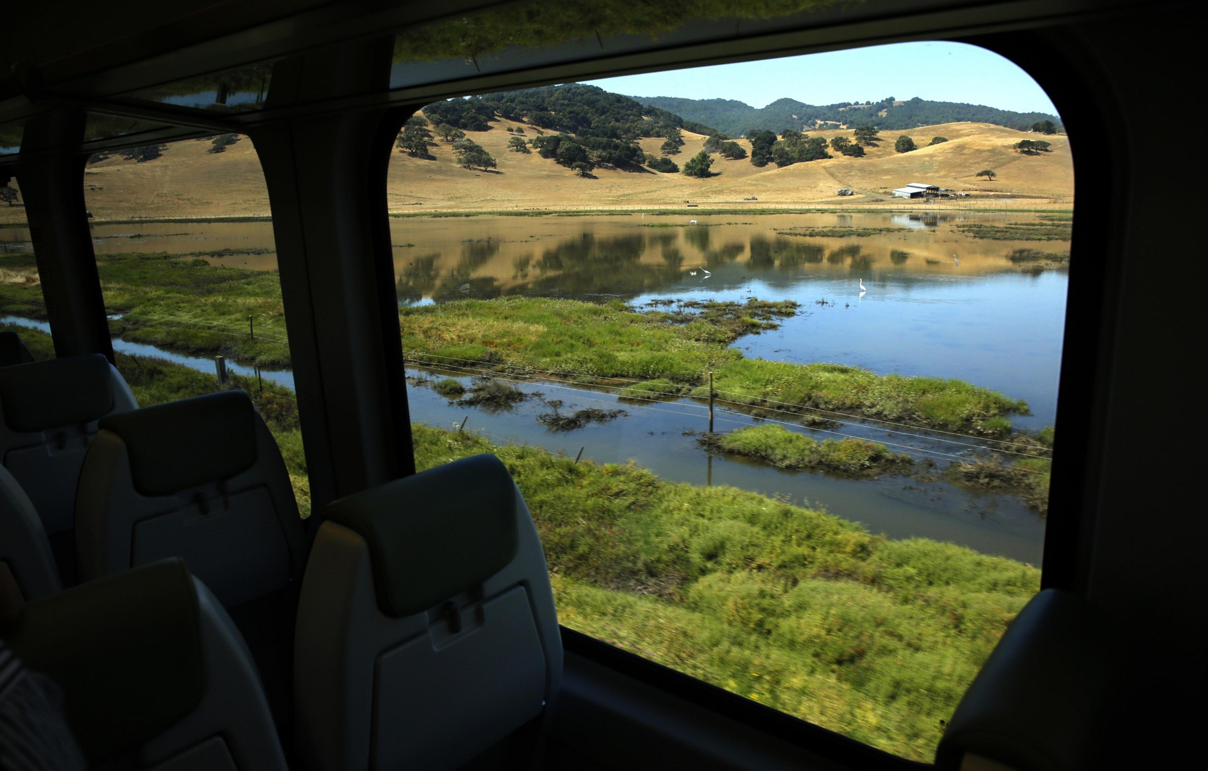 a daytime shot of a marsh through the interior of a window on a darkened train