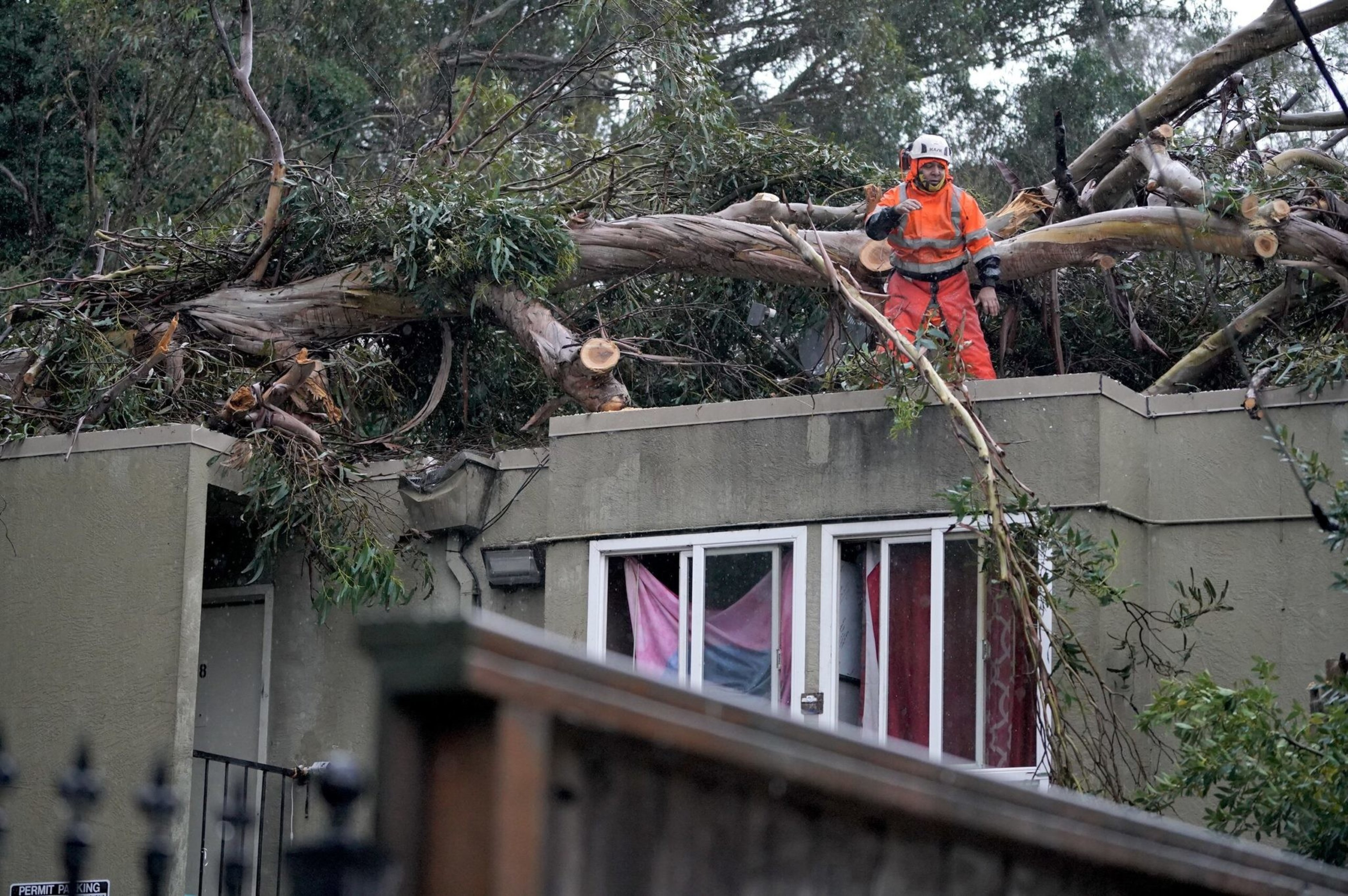 A worker in orange safety gear stands on a flat-roofed building as a large, cut tree rests across the roof and surrounding trees.