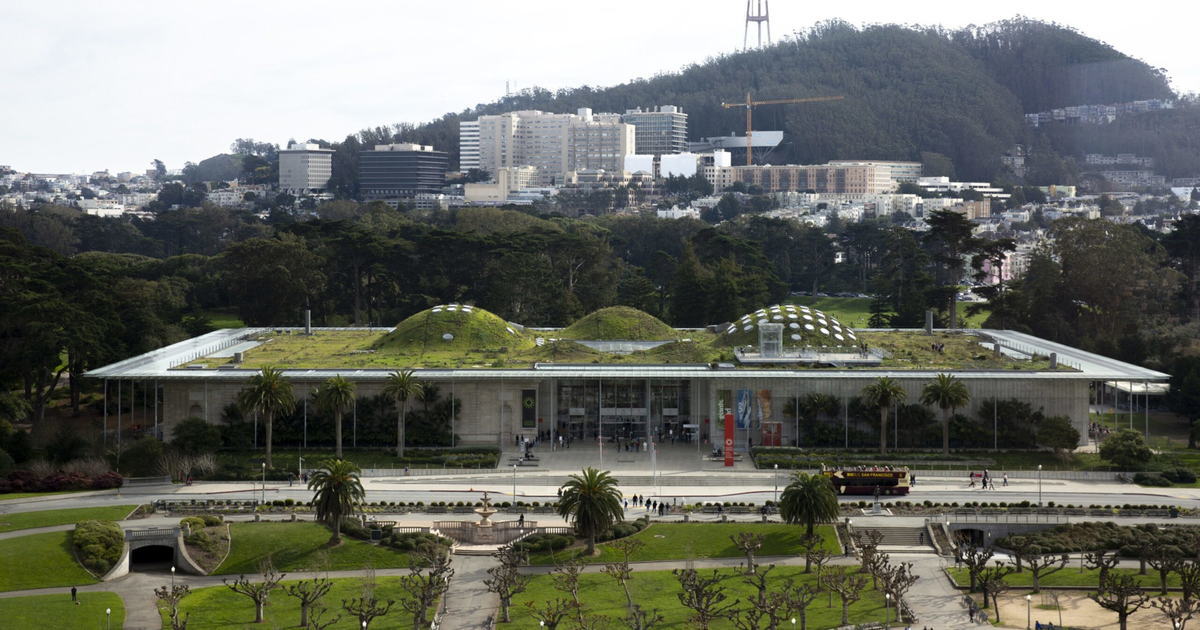ADVERTISEMENT Supervisor moves to freeze $9M for Cal Academy after Standard investigation If an audit is approved, the city will pause funding to the academy's beloved aquarium, which is already at risk, according to internal reports. ADVERTISEMENT Have thoughts on this story? Have thoughts on this story? 2 free posts left Already a subscriber? Stay ahead of the stories shaping SF Sign up for The Standard's must-read newsletters