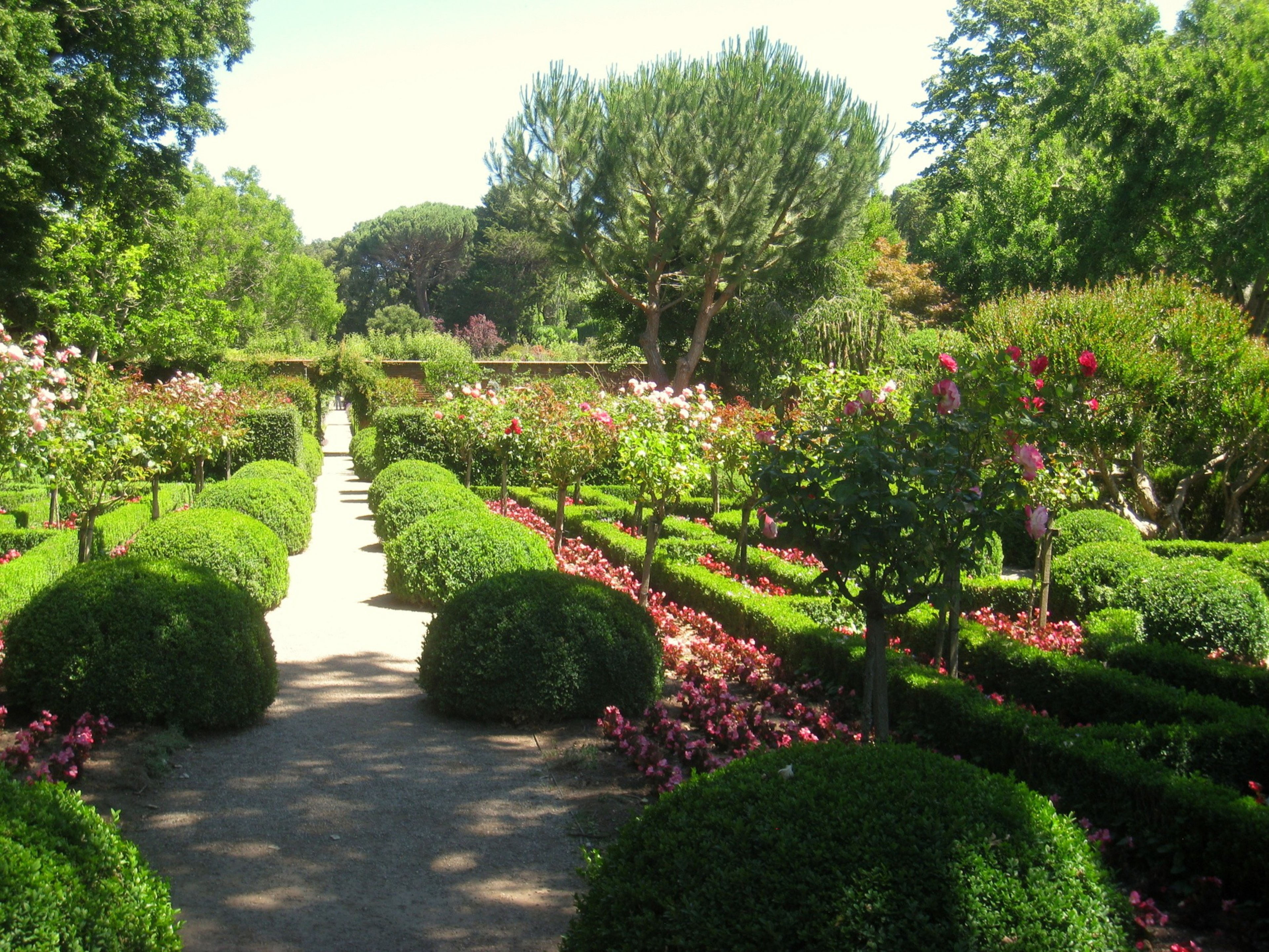 A large outdoor garden area on a sunny day.