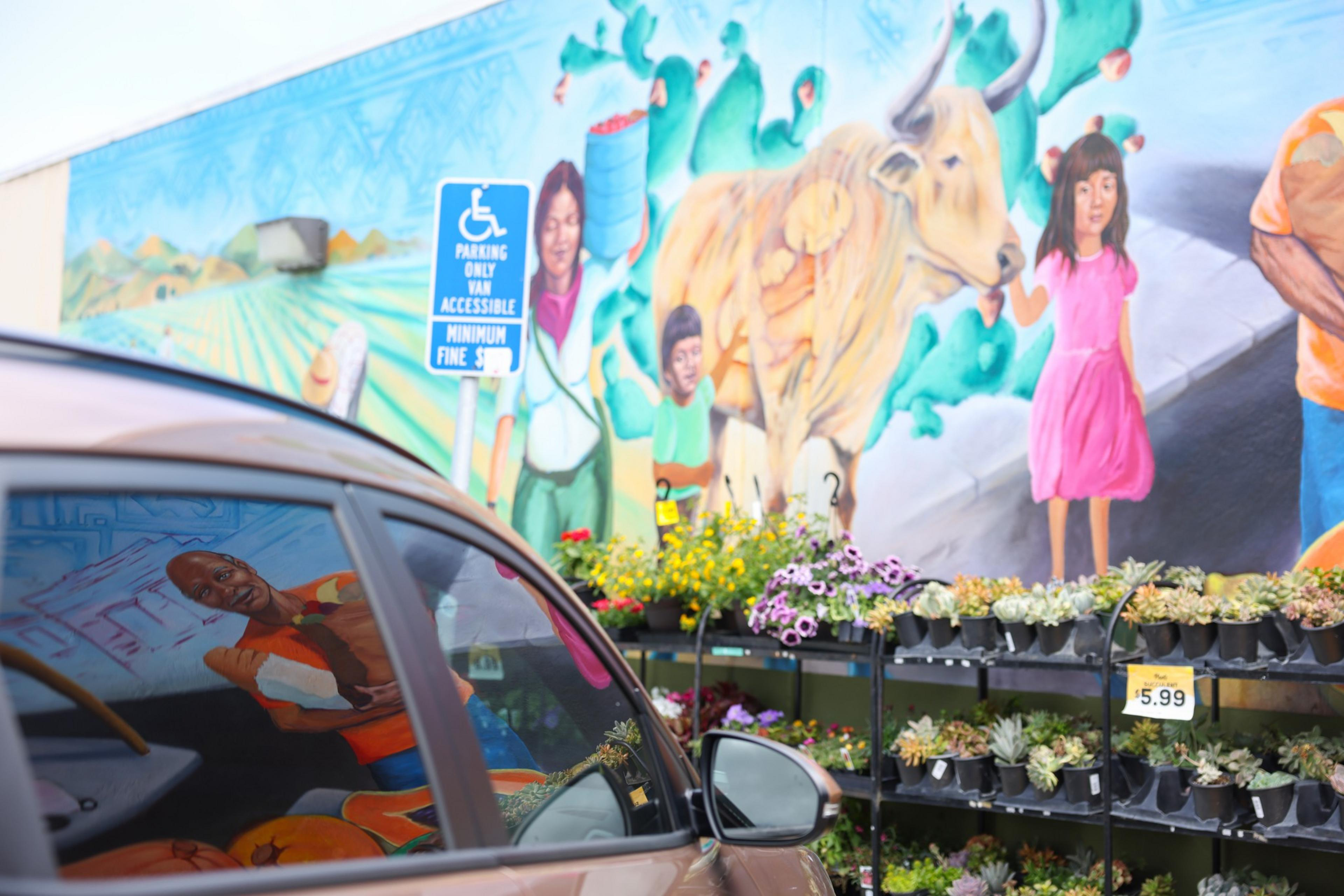 A colorful mural depicts people, a bull, and cacti behind a flower stand priced at $5.99, with a handicap parking sign and a car reflecting the mural.
